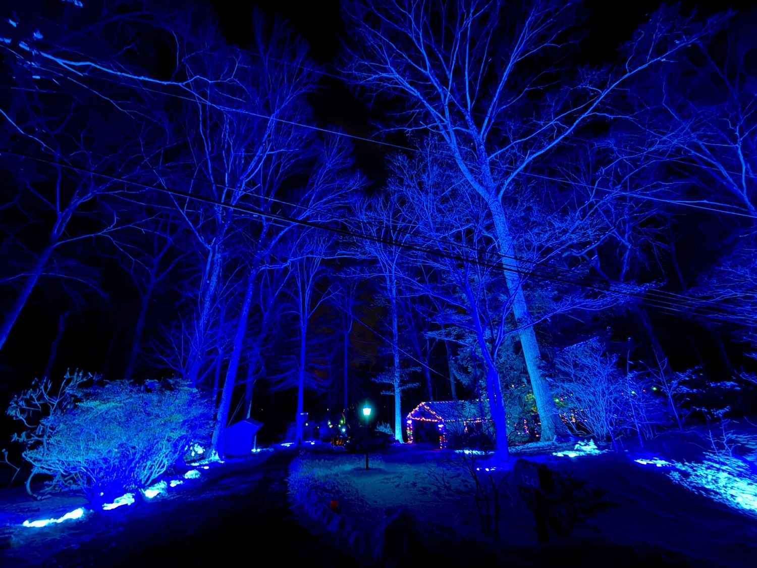 Woodland Christmas!, Christmas lights in Media, PA (photo 2)