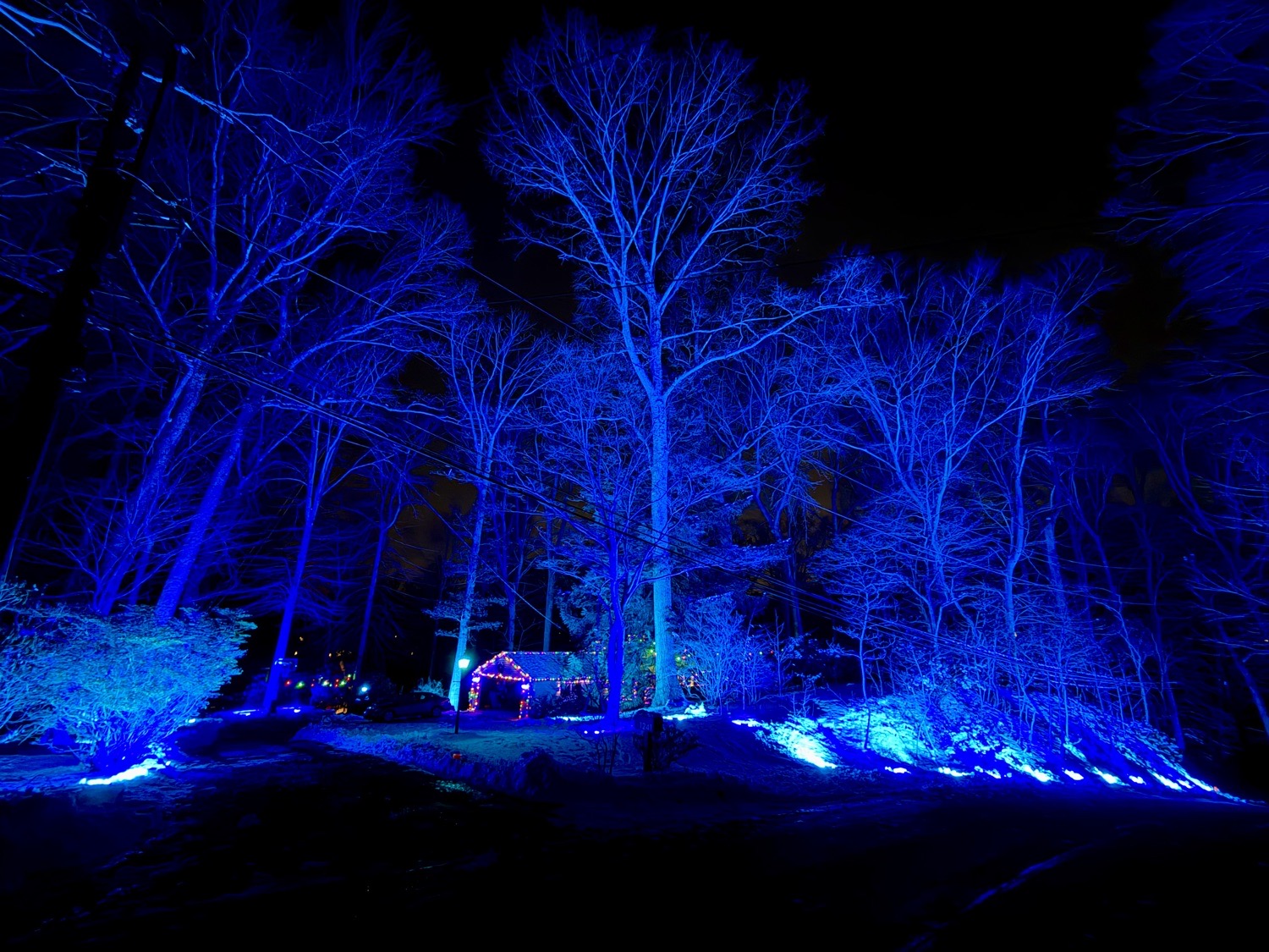 Woodland Christmas!, Christmas lights in Media, PA (photo 4)