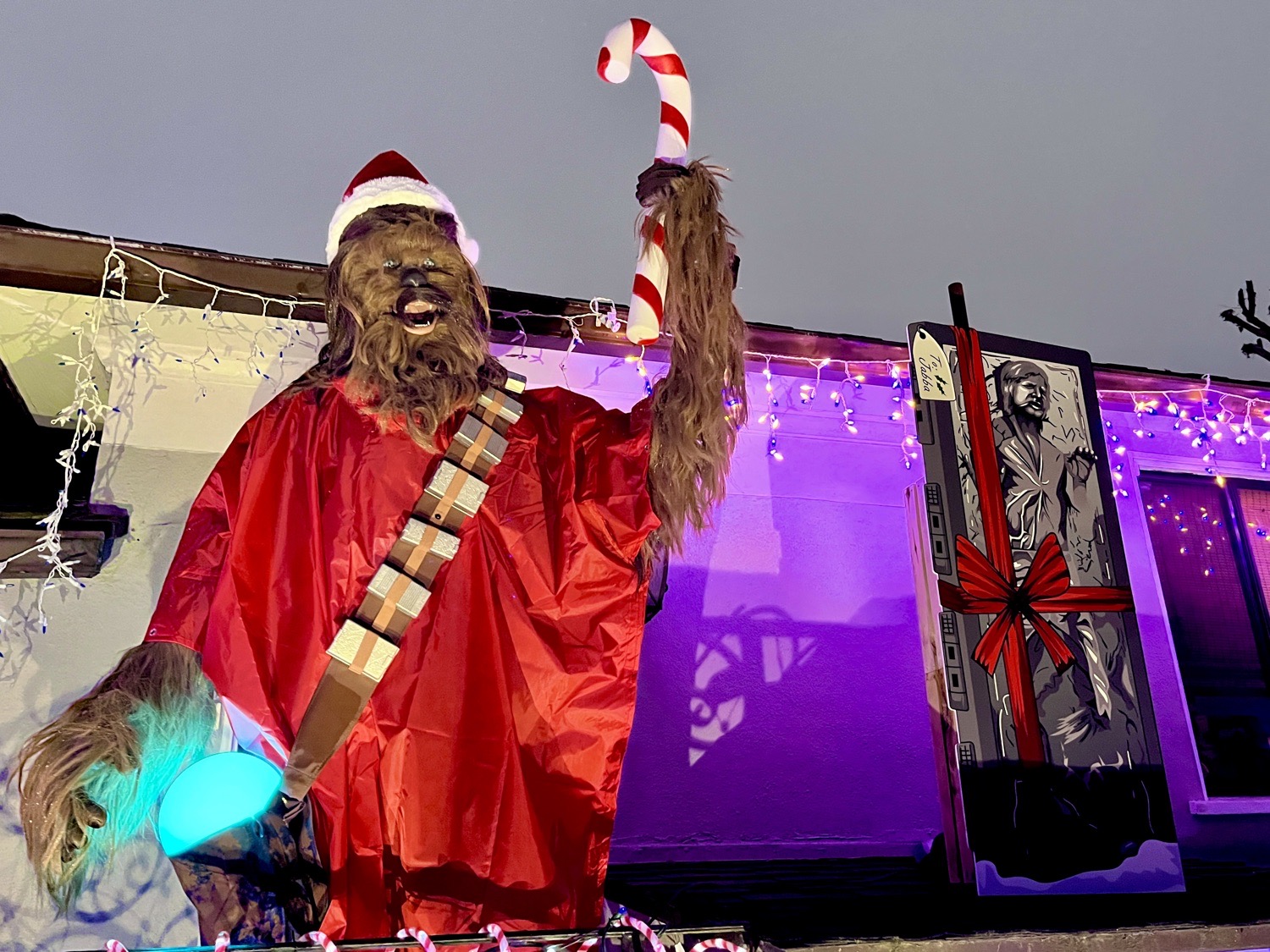 Star Wars Holiday To Hoth and Tatooine!!, Christmas lights in Toluca Lake, CA (photo 4)