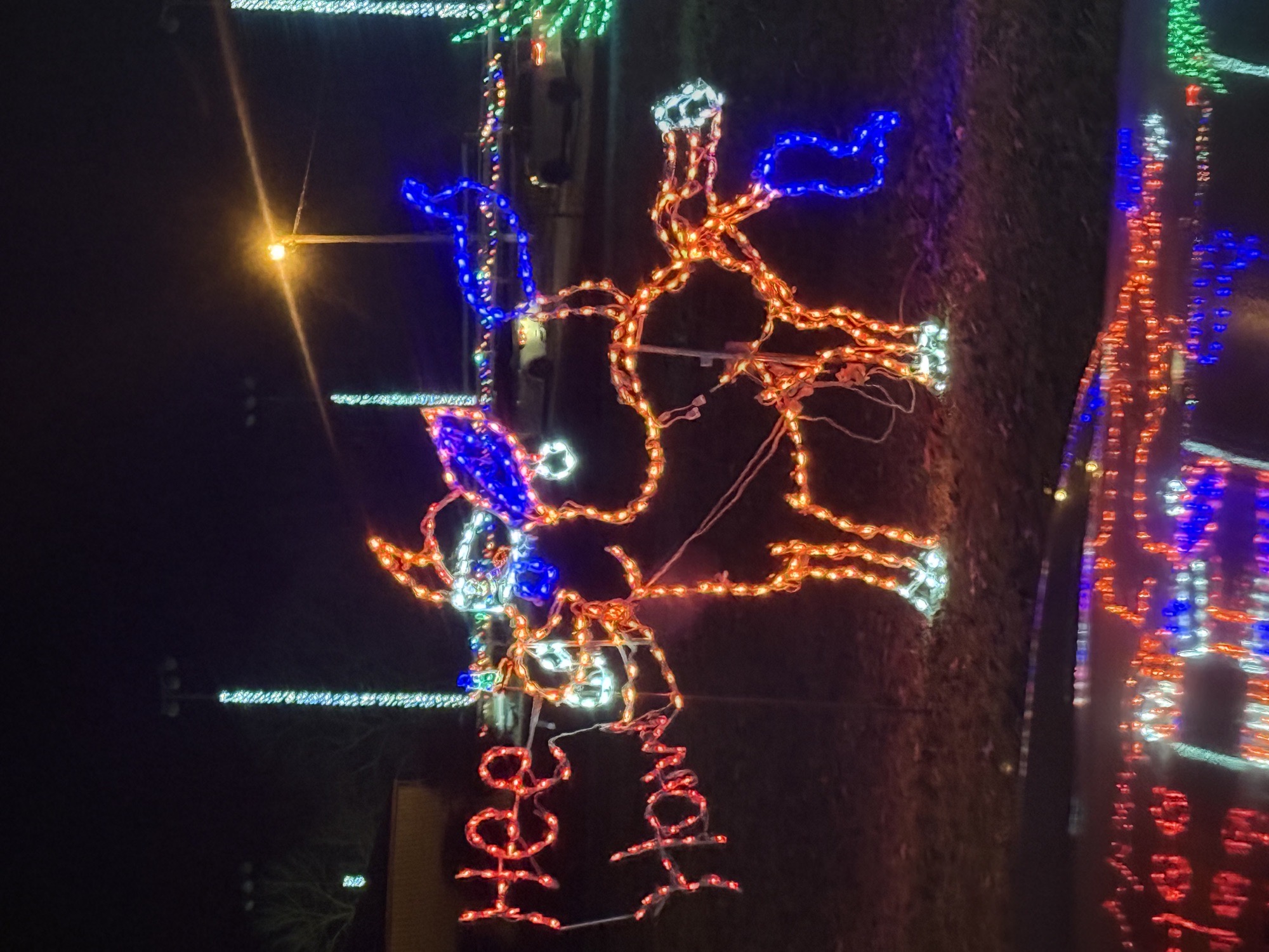 Franklin Park, Christmas lights in Franklin, KY (photo 1)