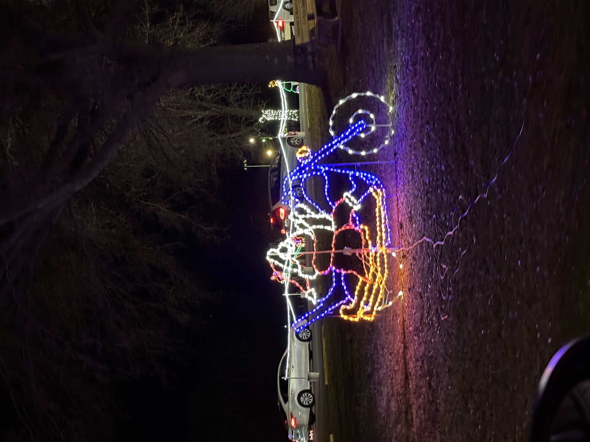 Franklin Park, Christmas lights in Franklin, KY (photo 3)