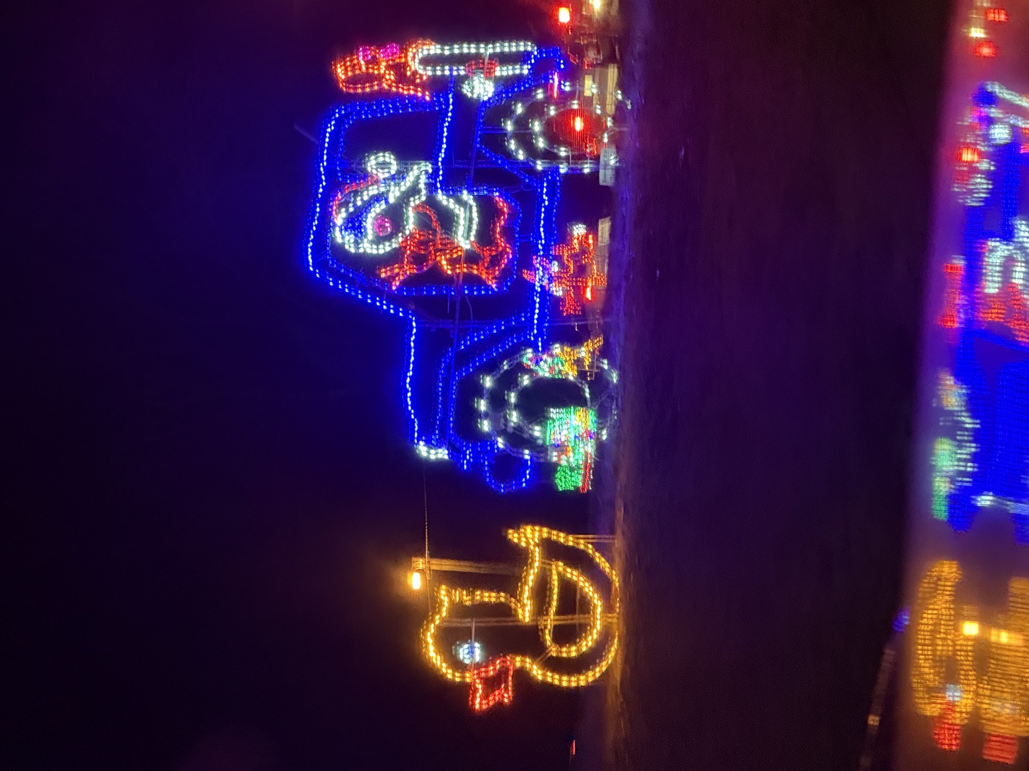 Franklin Park, Christmas lights in Franklin, KY (photo 4)