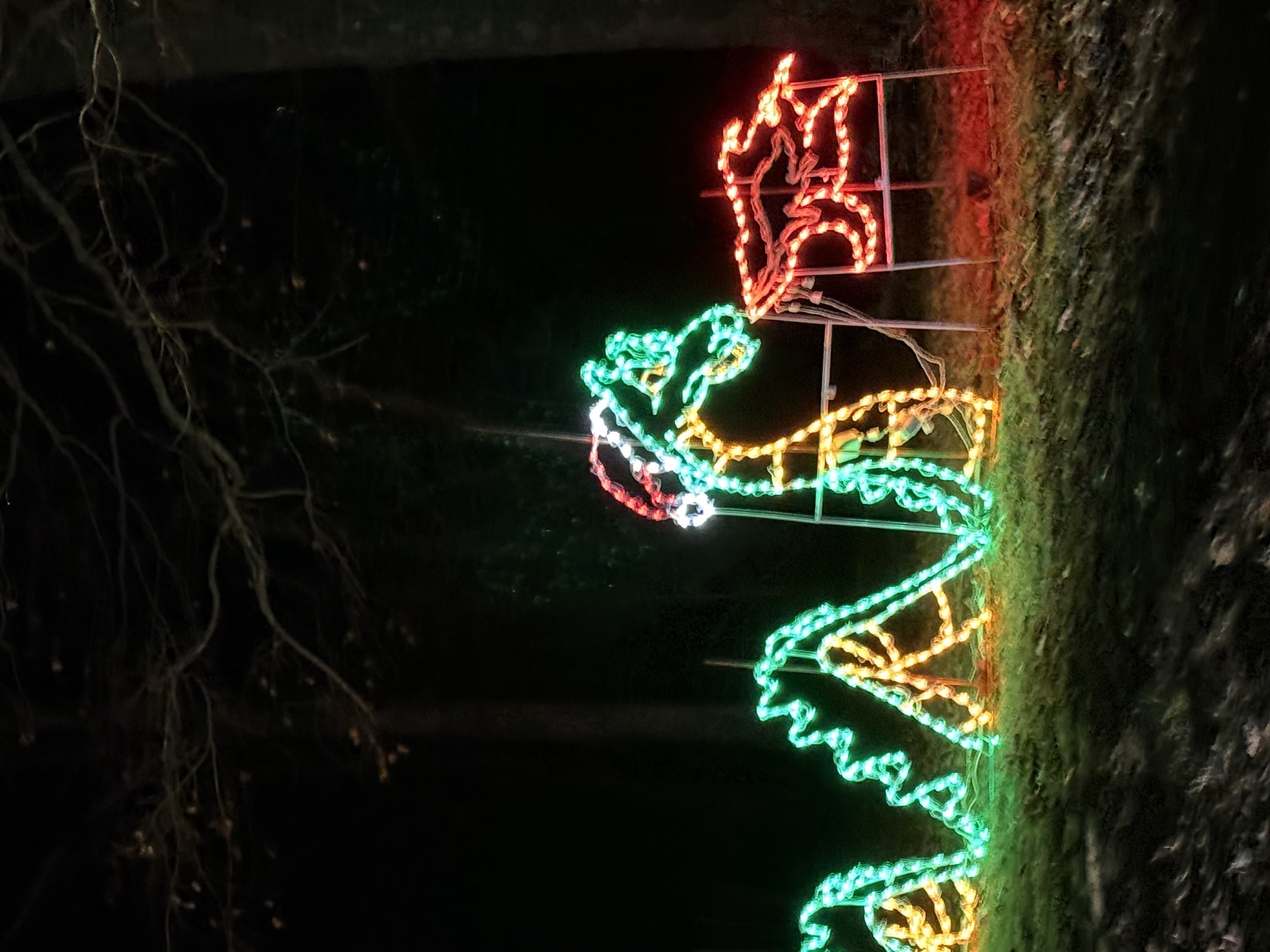 Franklin Park, Christmas lights in Franklin, KY (photo 5)
