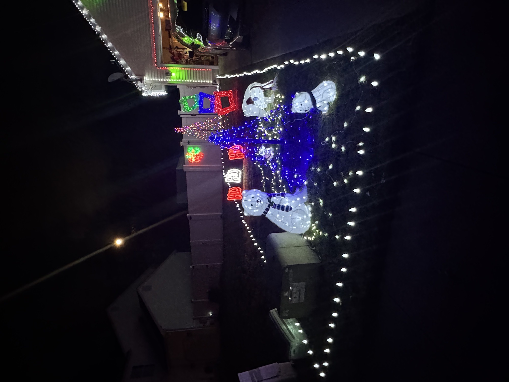 Christmas lights, Christmas lights in Sicklerville, NJ (photo 4)