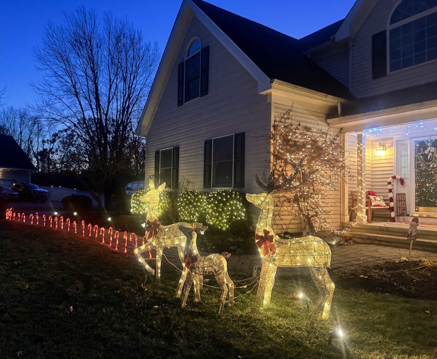 Wildflower Wonderland, Christmas lights in Clinton, NJ (photo 1)