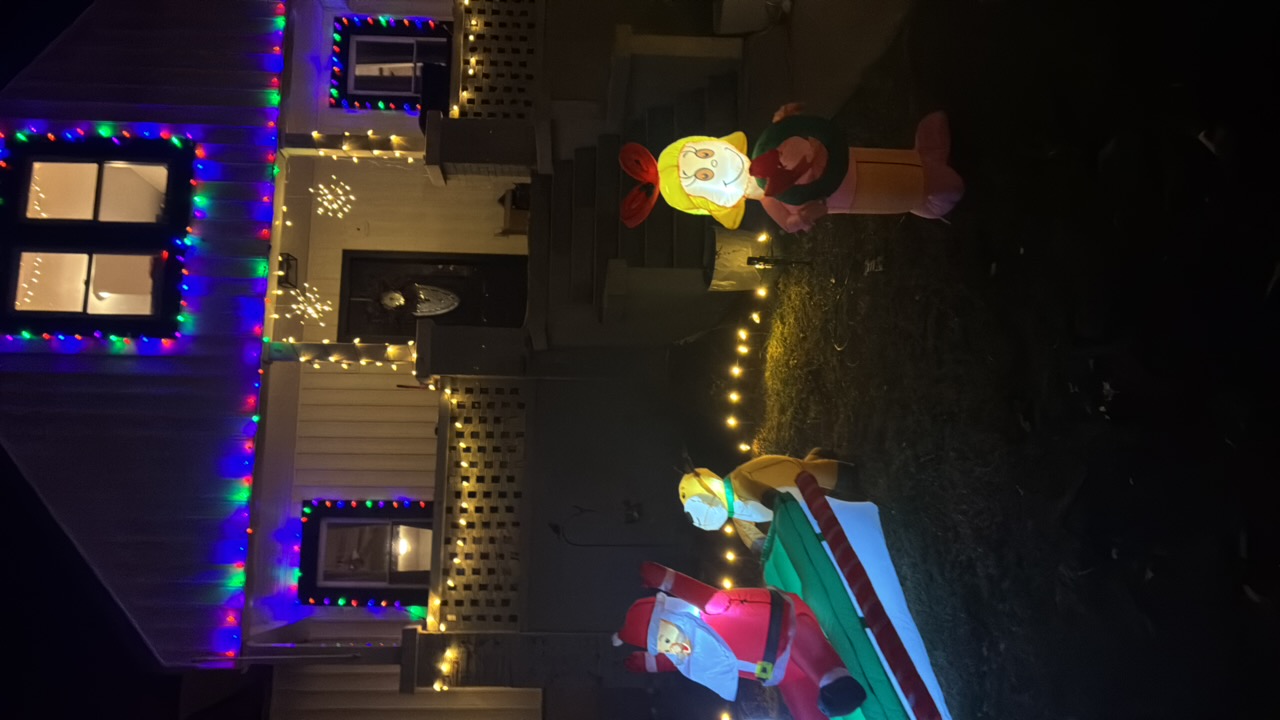 The Kirby’s, Christmas lights in Hurt, VA (photo 3)
