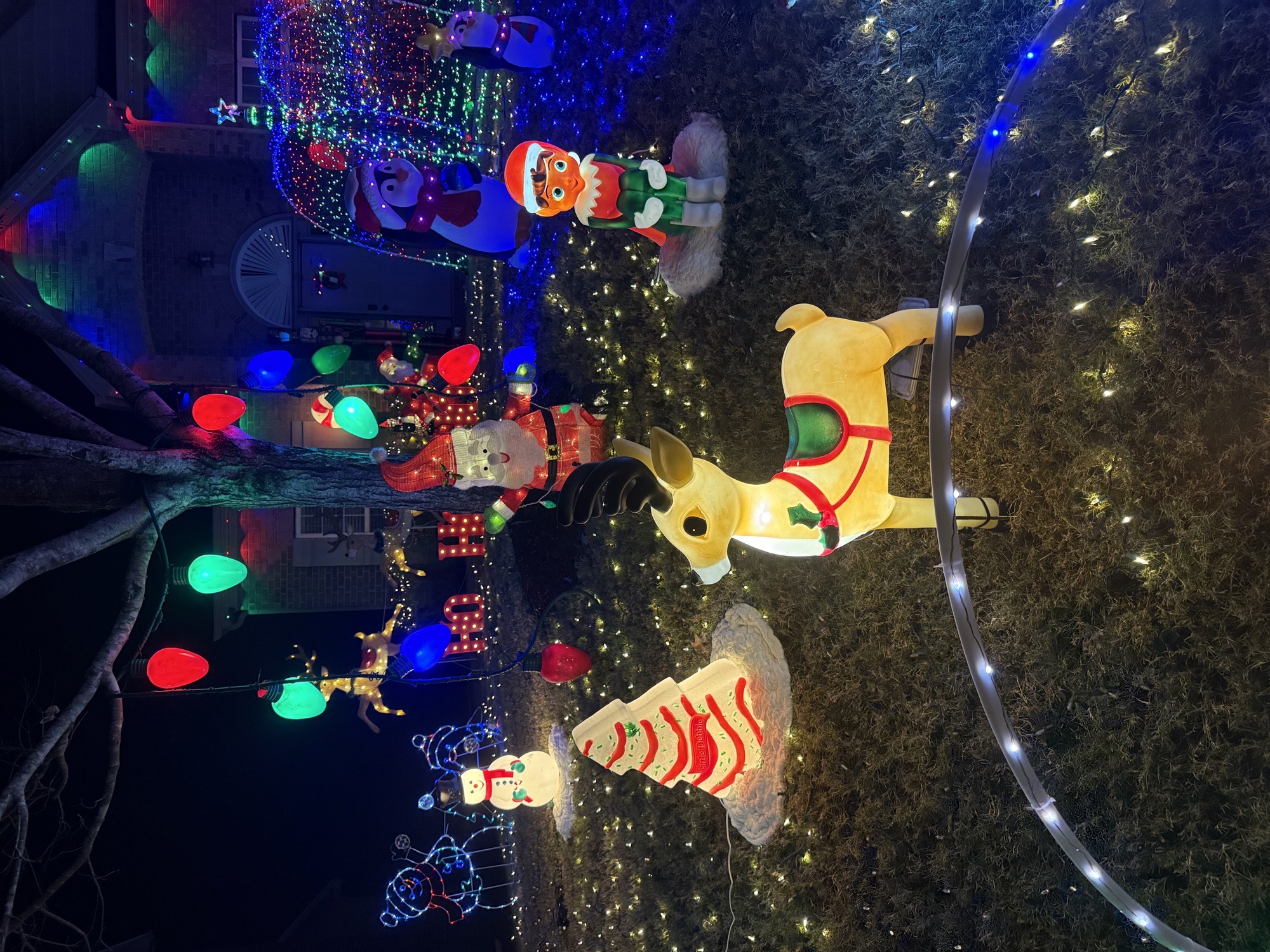 Letson Farms, Christmas lights in Bessemer, AL (photo 1)