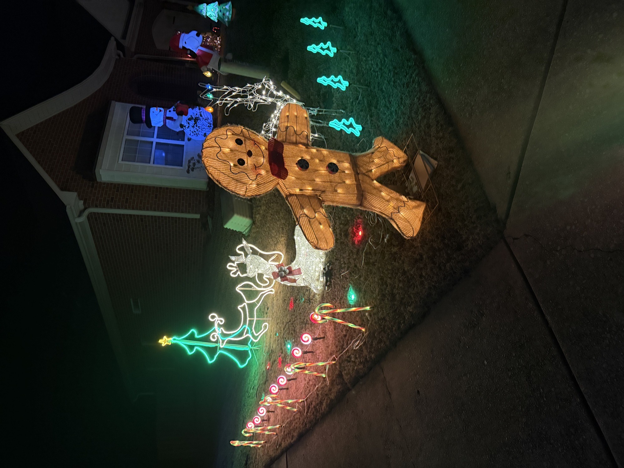 Letson Farms, Christmas lights in Bessemer, AL (photo 2)