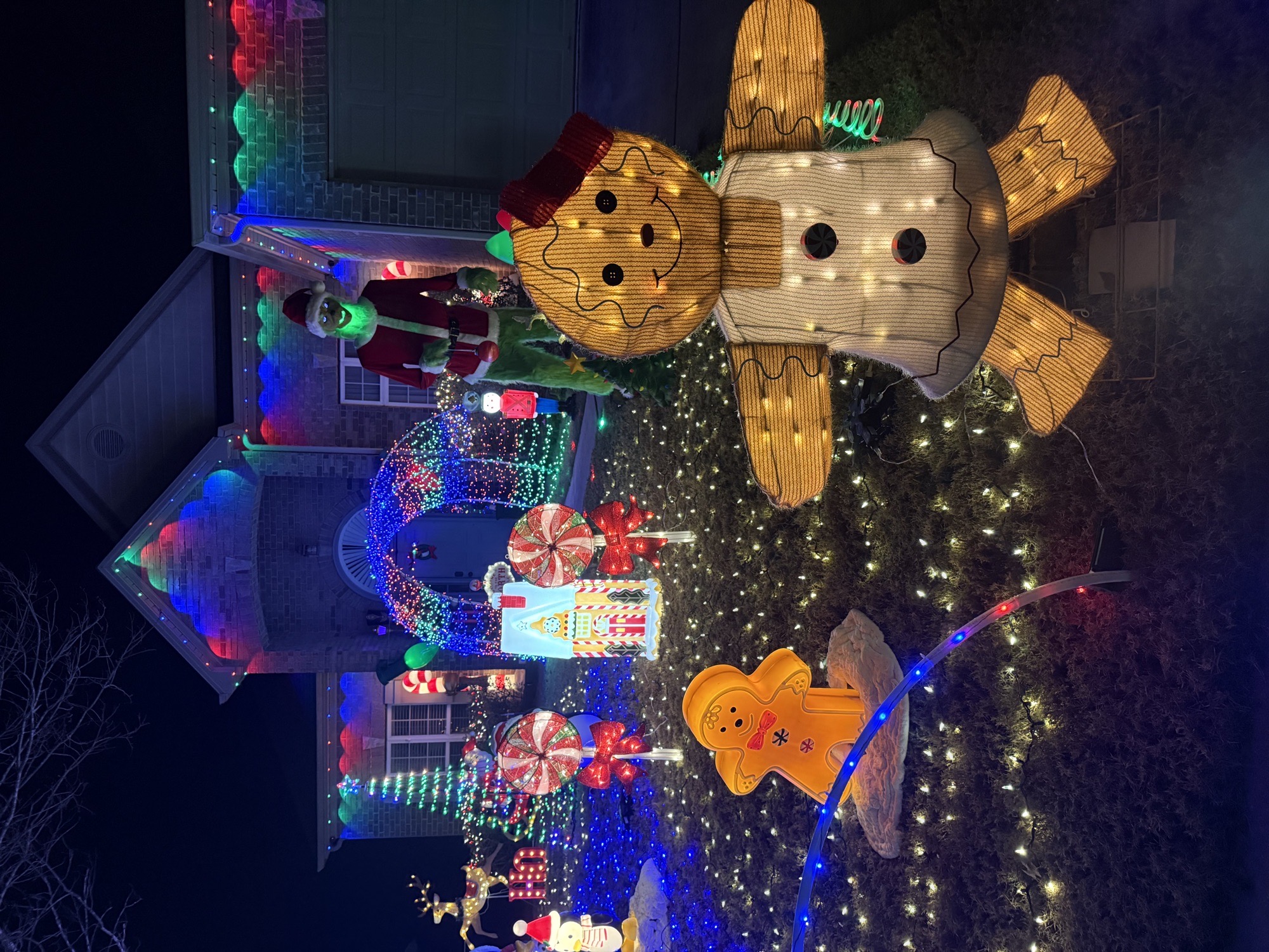 Letson Farms, Christmas lights in Bessemer, AL (photo 3)