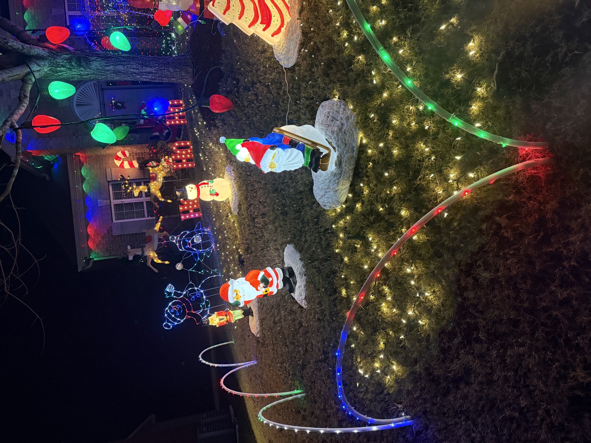 Letson Farms, Christmas lights in Bessemer, AL (photo 4)