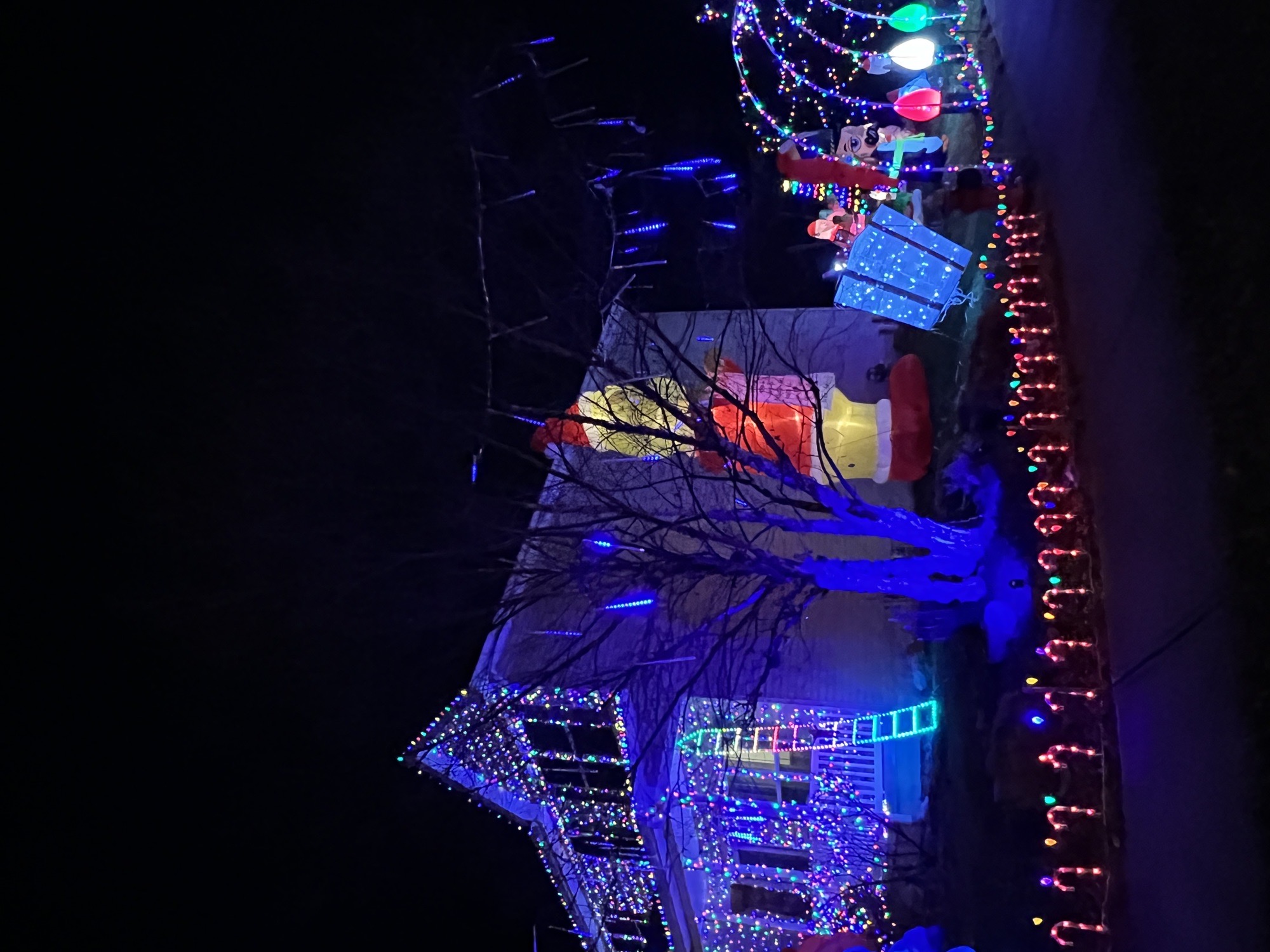 Merry Morgan Circle, Christmas lights in North Ridgeville, OH (photo 2)