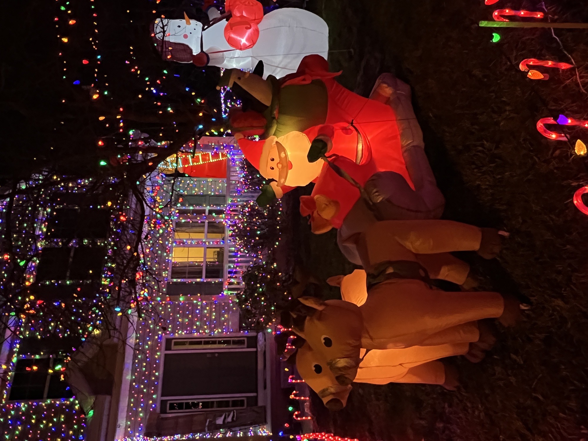 Merry Morgan Circle, Christmas lights in North Ridgeville, OH (photo 5)