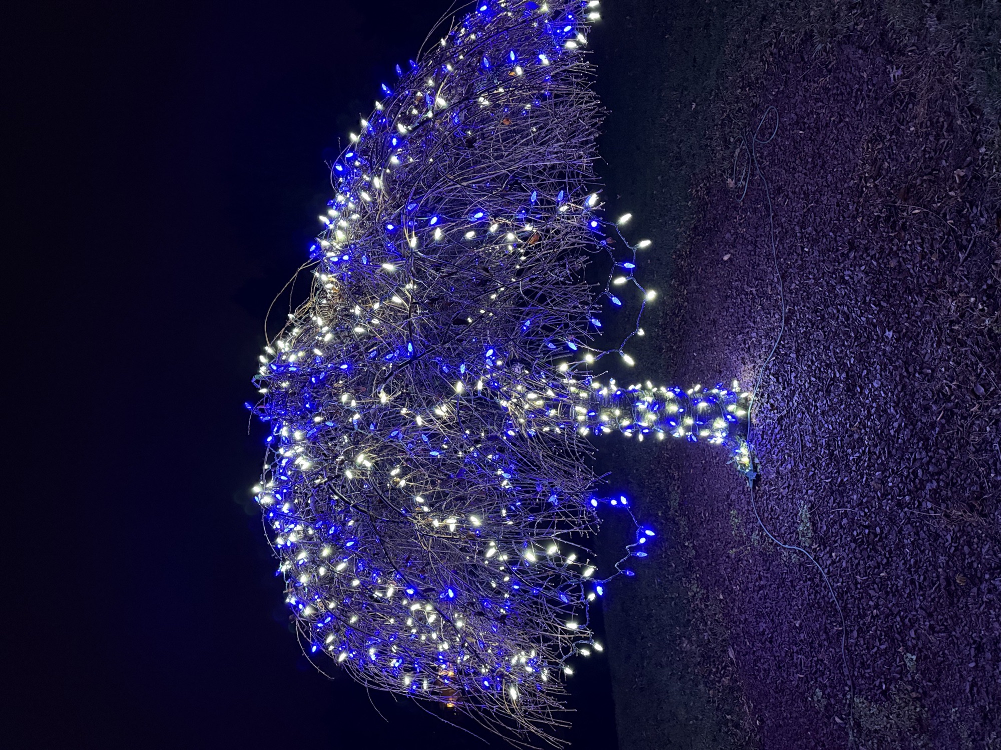 Yule On Yale, Christmas lights in Richboro, PA (photo 2)