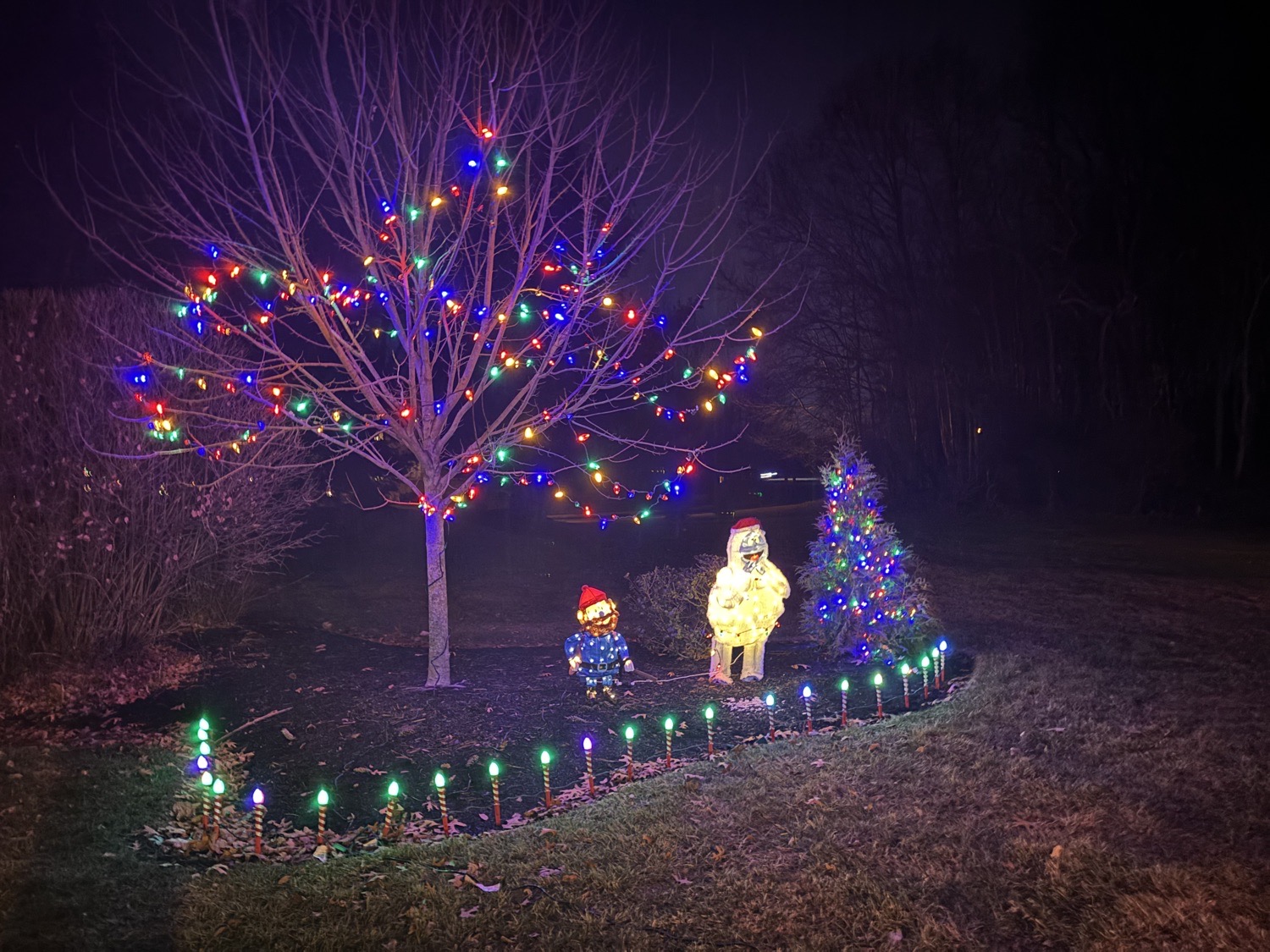 South (Jersey) Pole, Christmas lights in Marlton, NJ (photo 5)