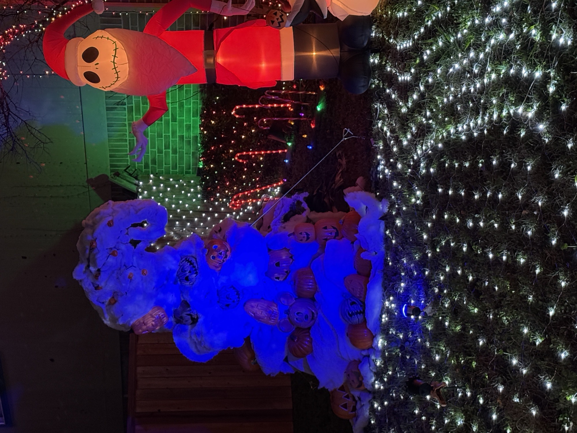 Haunted holiday Houston, Christmas lights in Houston, TX (photo 3)