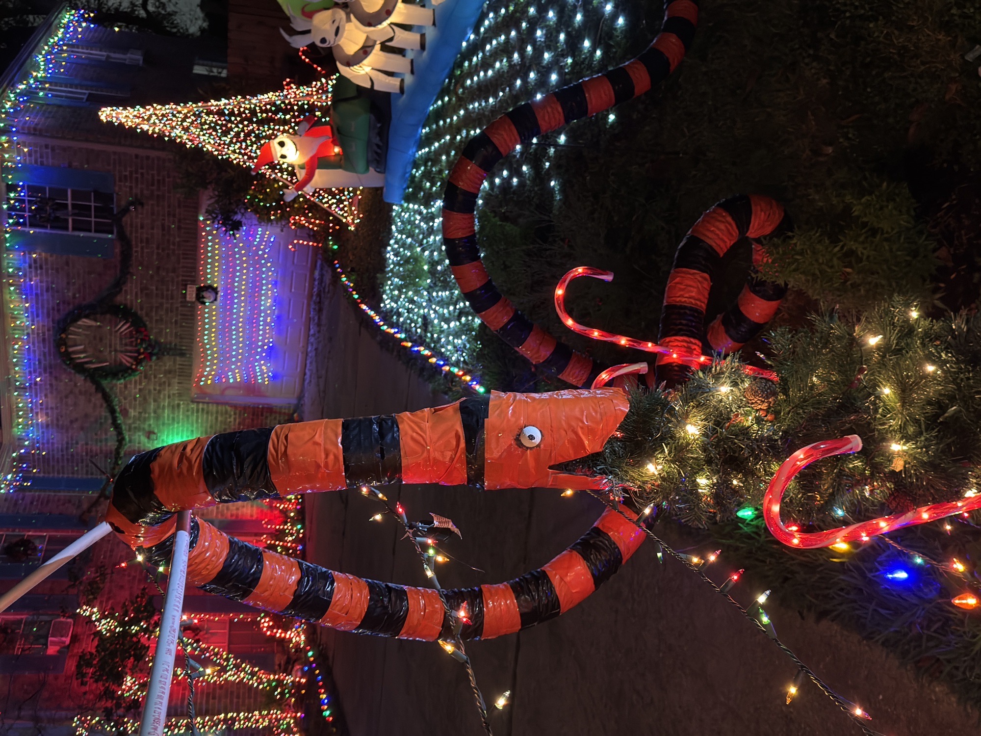 Haunted holiday Houston, Christmas lights in Houston, TX (photo 4)