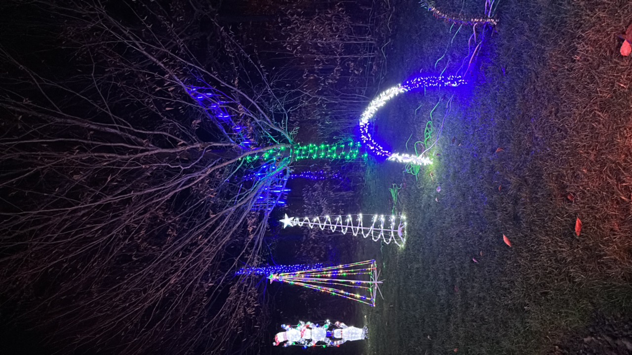 Scenic Bar & Grill (not a real bar, just my own), Christmas lights in Blakeslee, PA (photo 5)