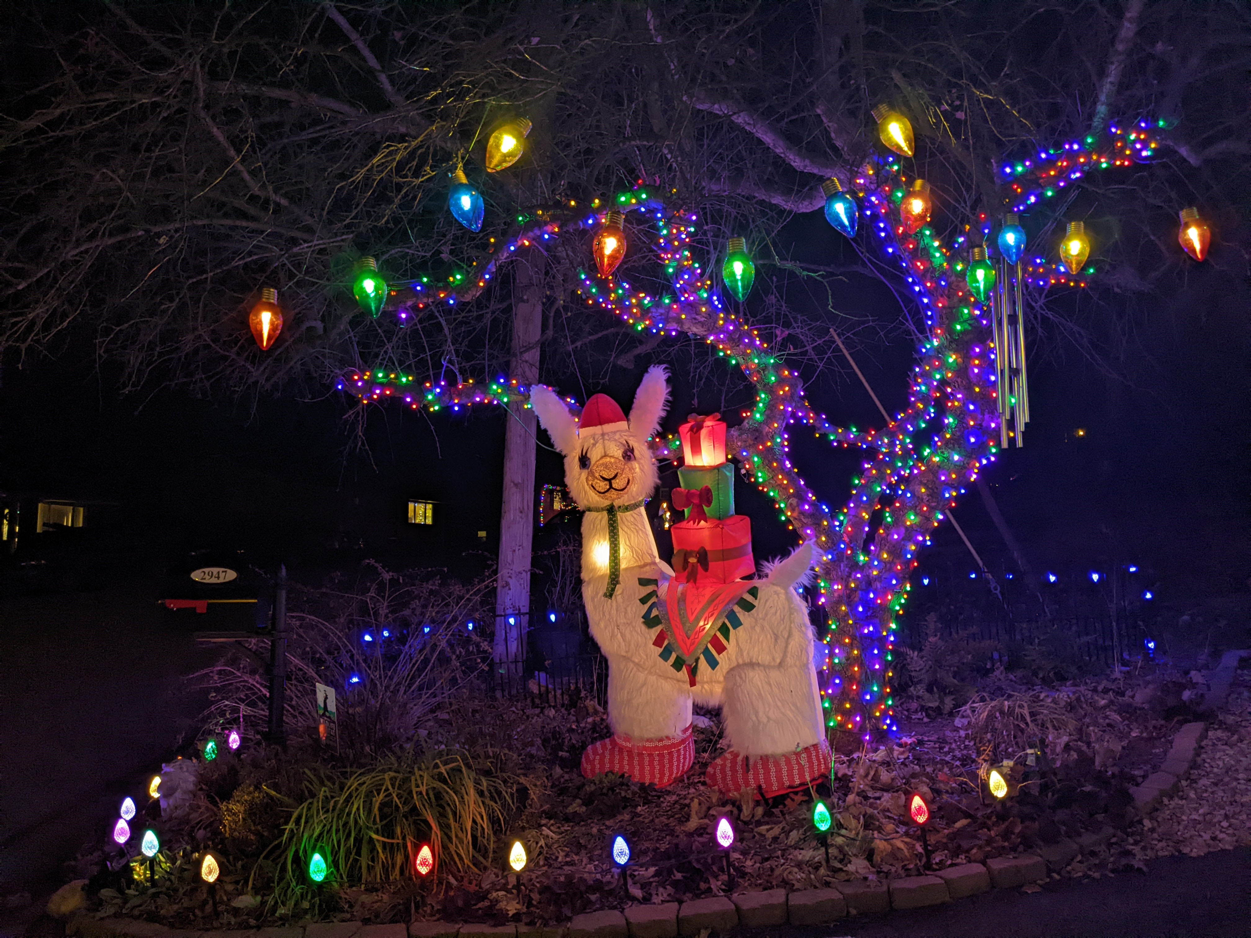 Light Show + Music, Christmas lights in Salem, VA (photo 2)