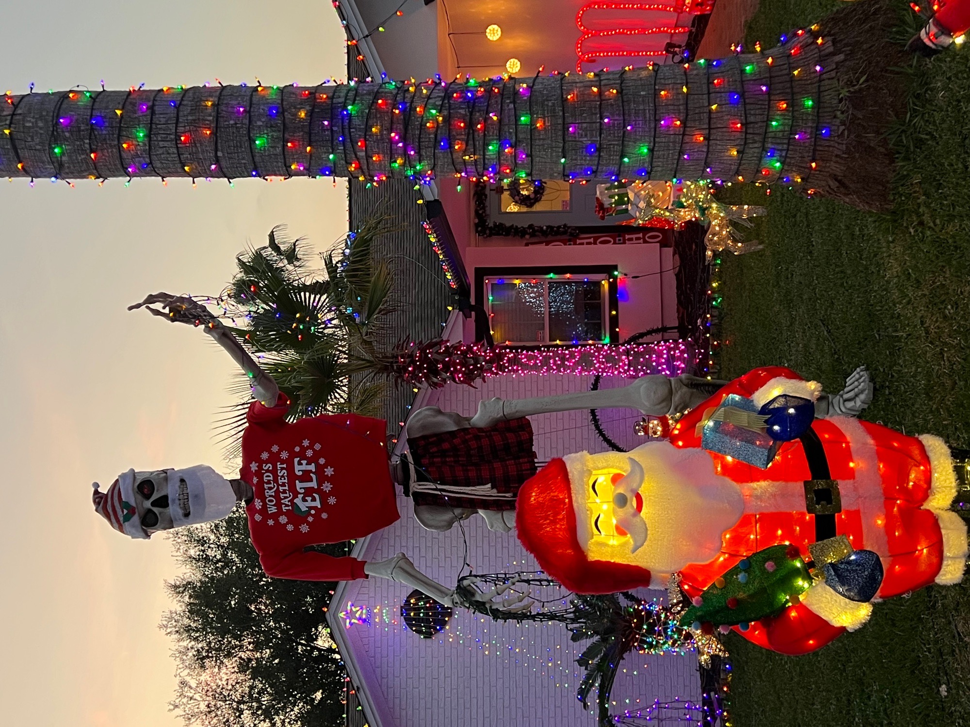 Lights on Cardinal, Christmas lights in Destin, FL (photo 1)
