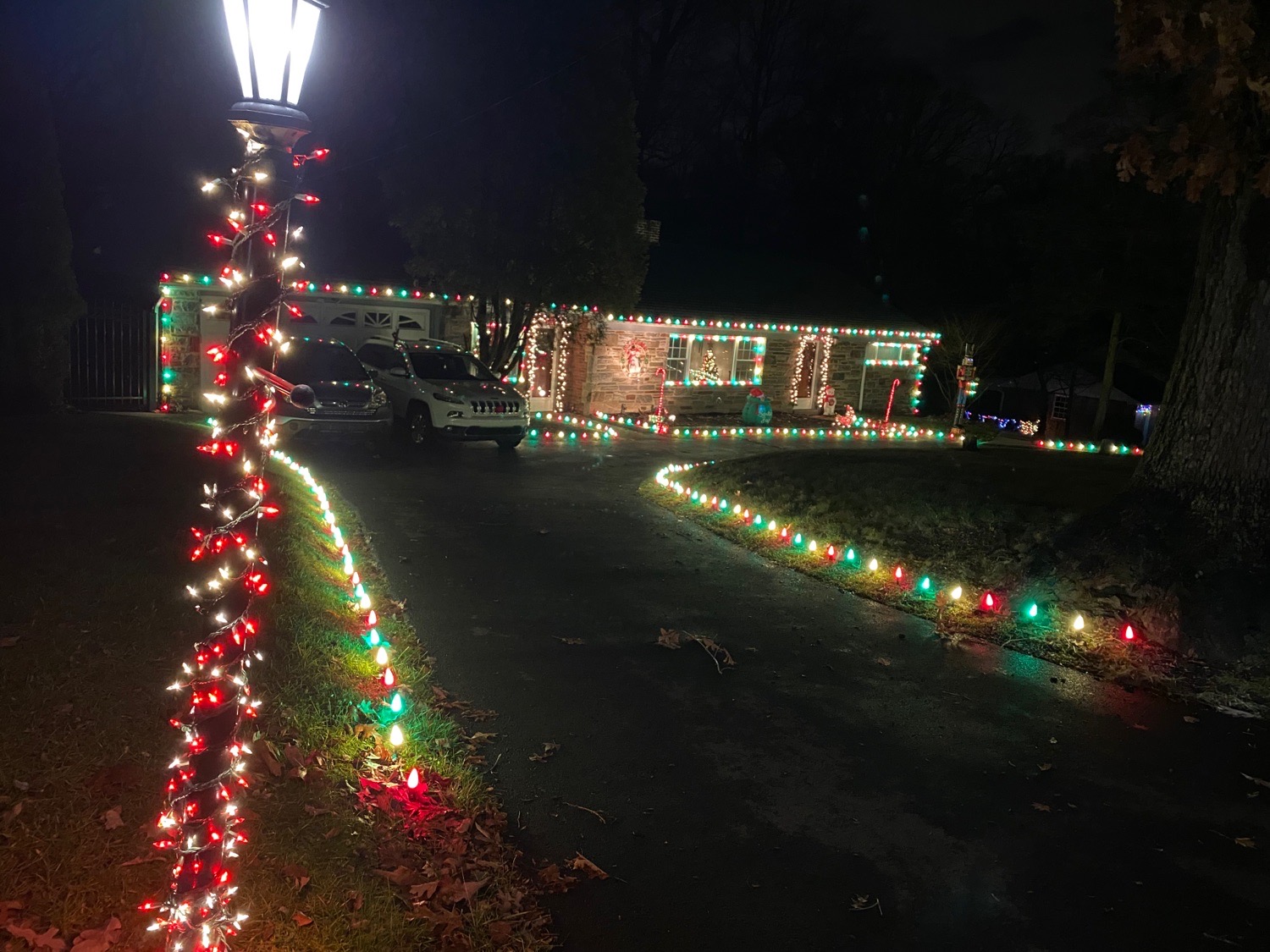 Christmas Light Display on Marple Road, Christmas lights in Broomall, PA (photo 3)