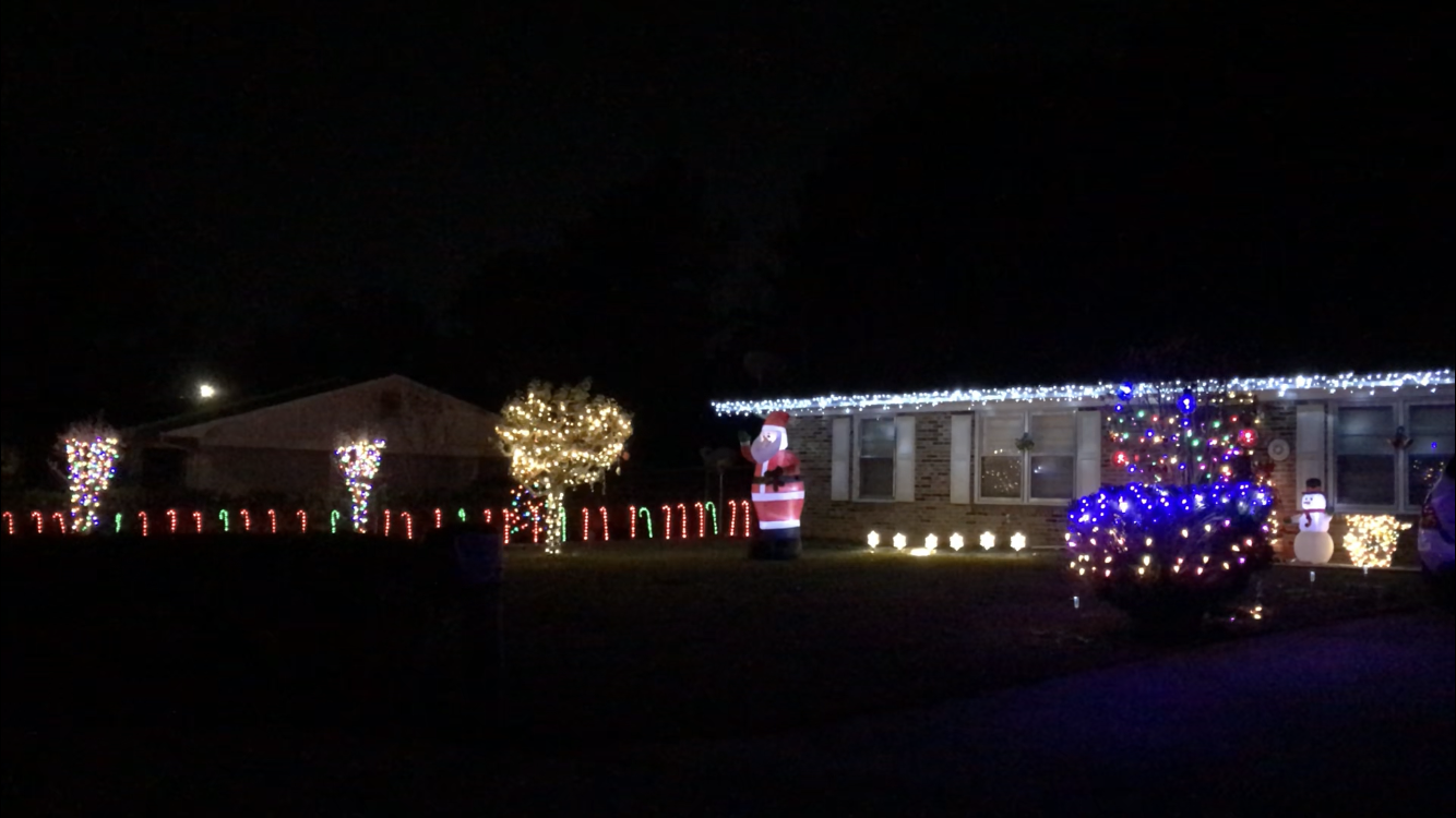 lights in Ivelyn Ct, Christmas lights in Warner Robins, GA (photo 3)