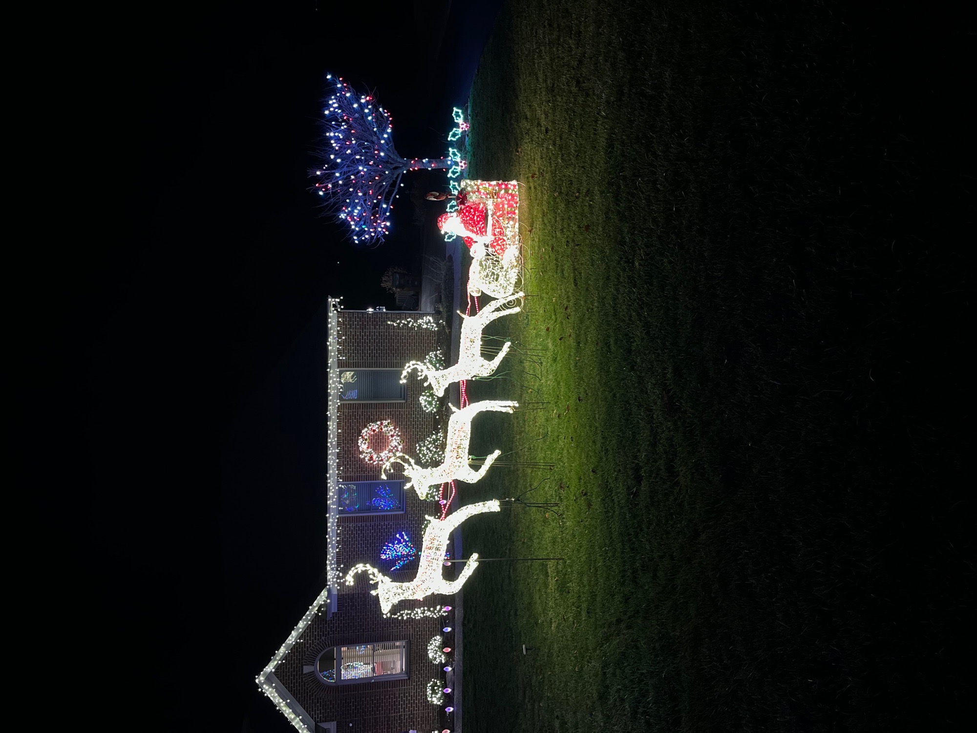 oldham county KY display, Christmas lights in Crestwood, KY (photo 4)