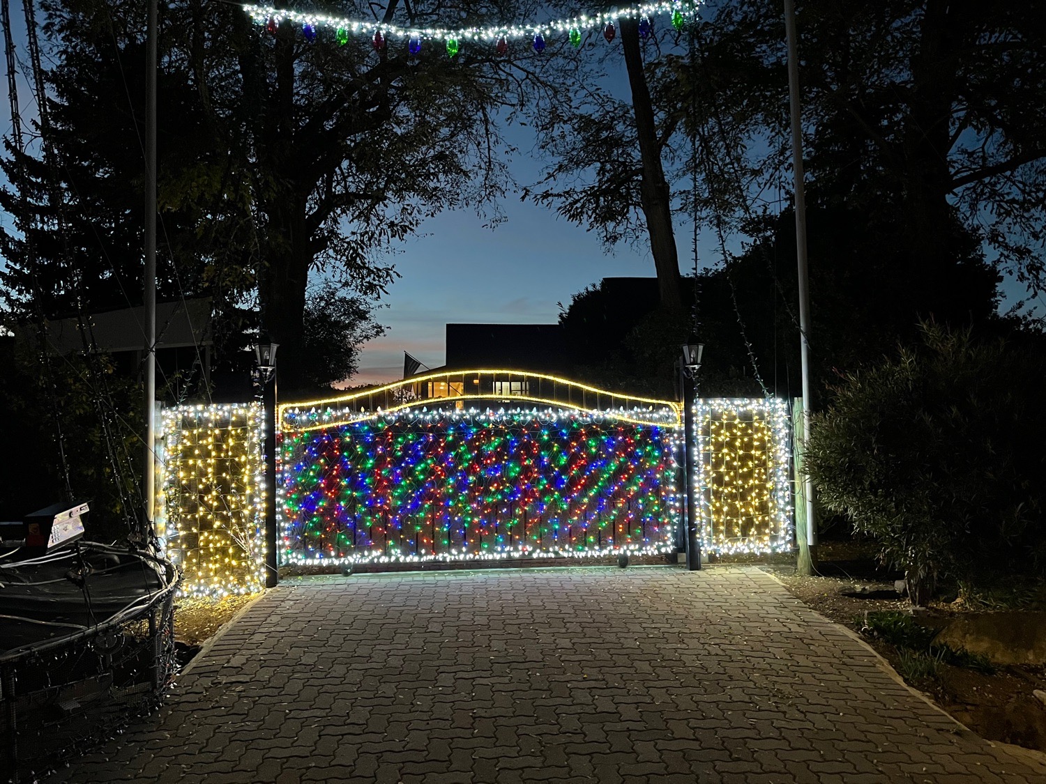 Lights on Riebli, Christmas lights in Santa Rosa, CA (photo 1)