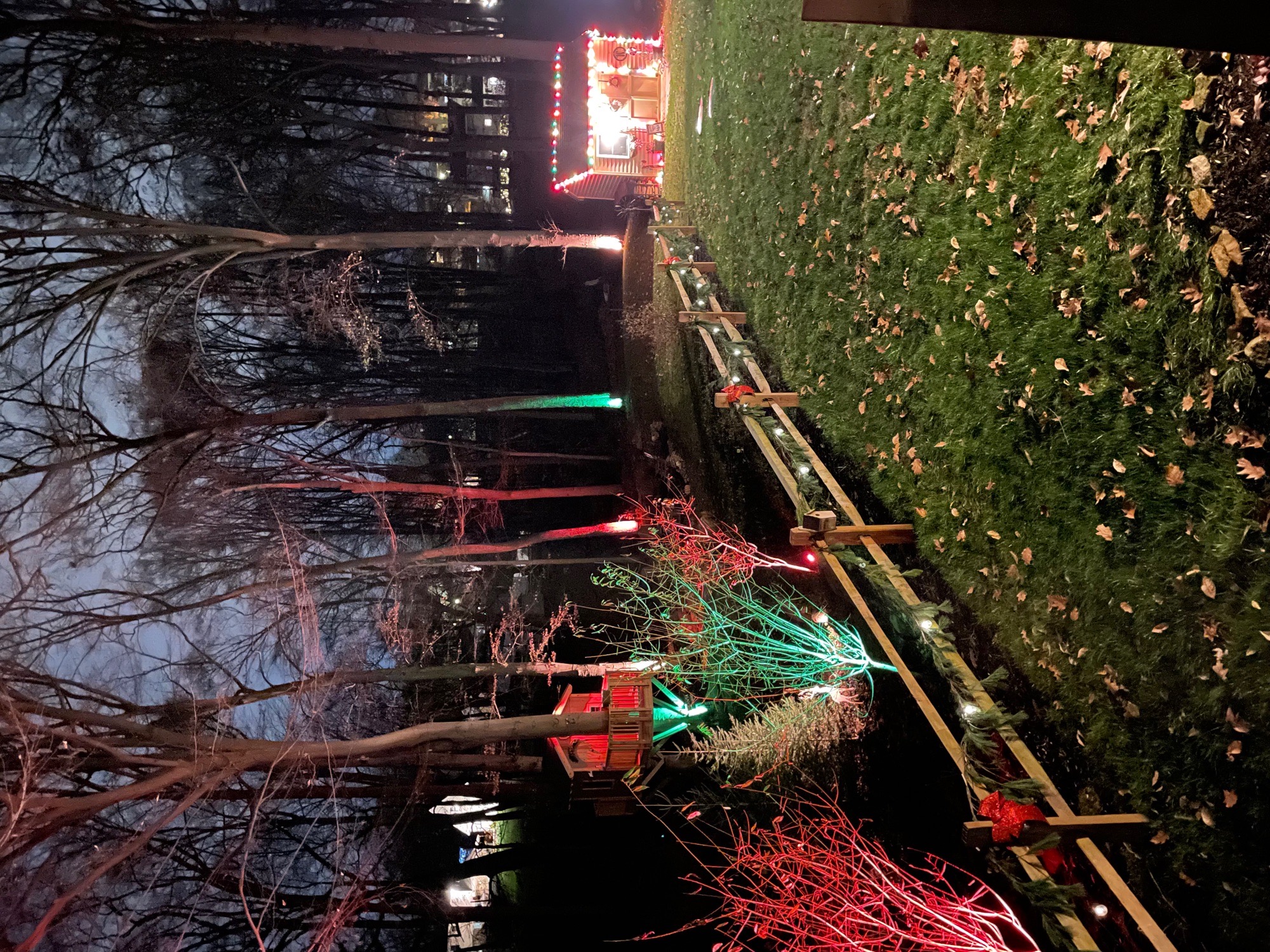 Westtown Winter Wonderland, Christmas lights in West Chester, PA (photo 1)