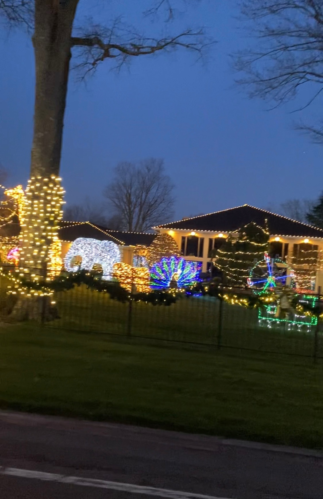 sprawling christmas light display. over 1 million lights, Christmas lights in Hammonton, NJ (photo 3)