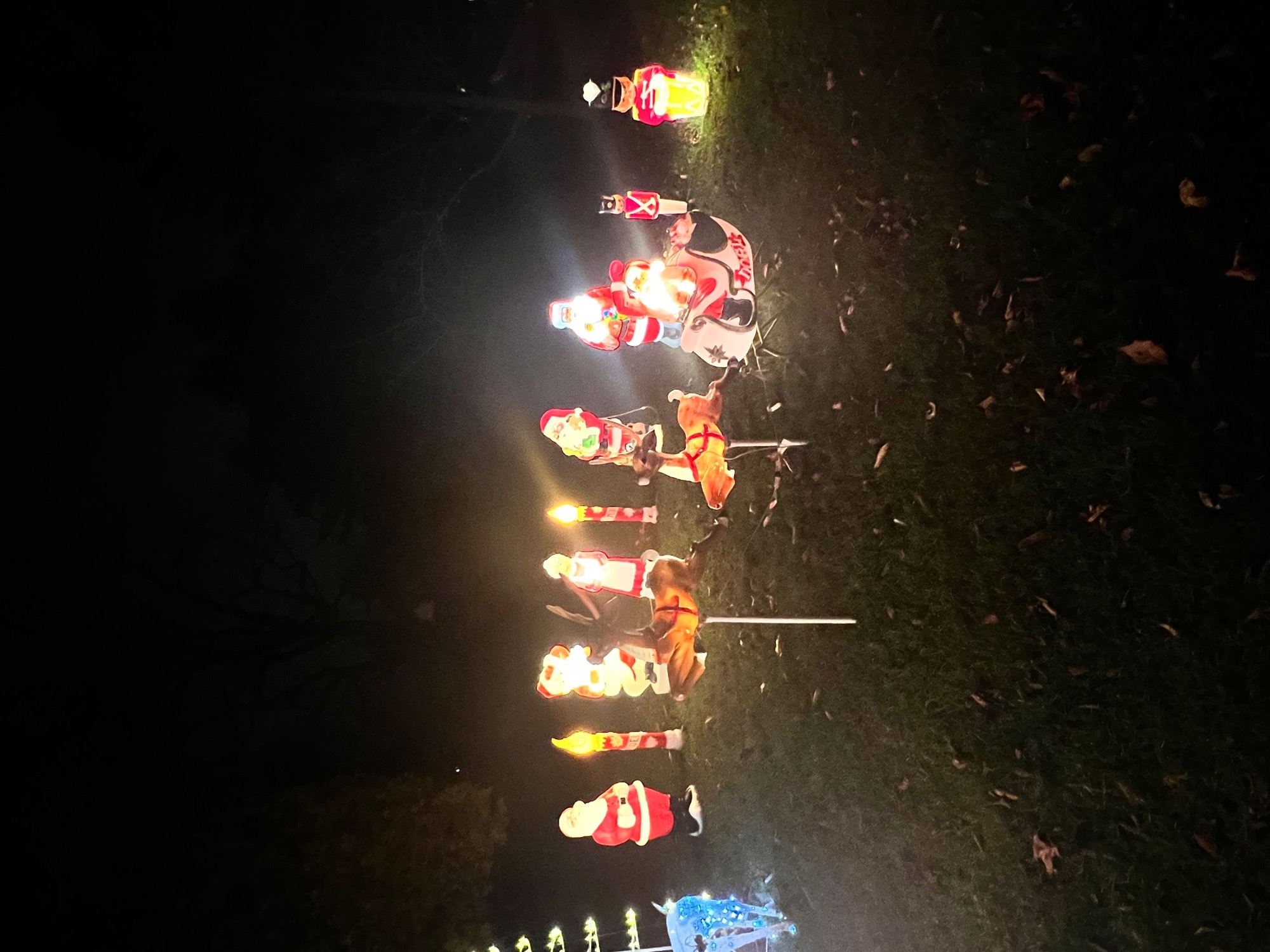 Vintage blowmolds, Christmas lights in Garnet Valley, PA (photo 5)