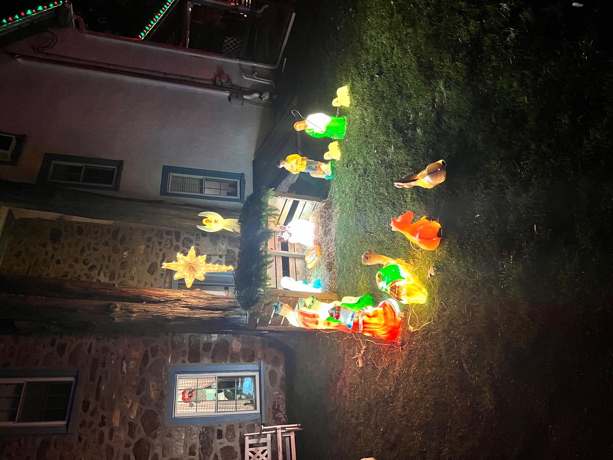 Vintage blowmolds, Christmas lights in Garnet Valley, PA (photo 4)