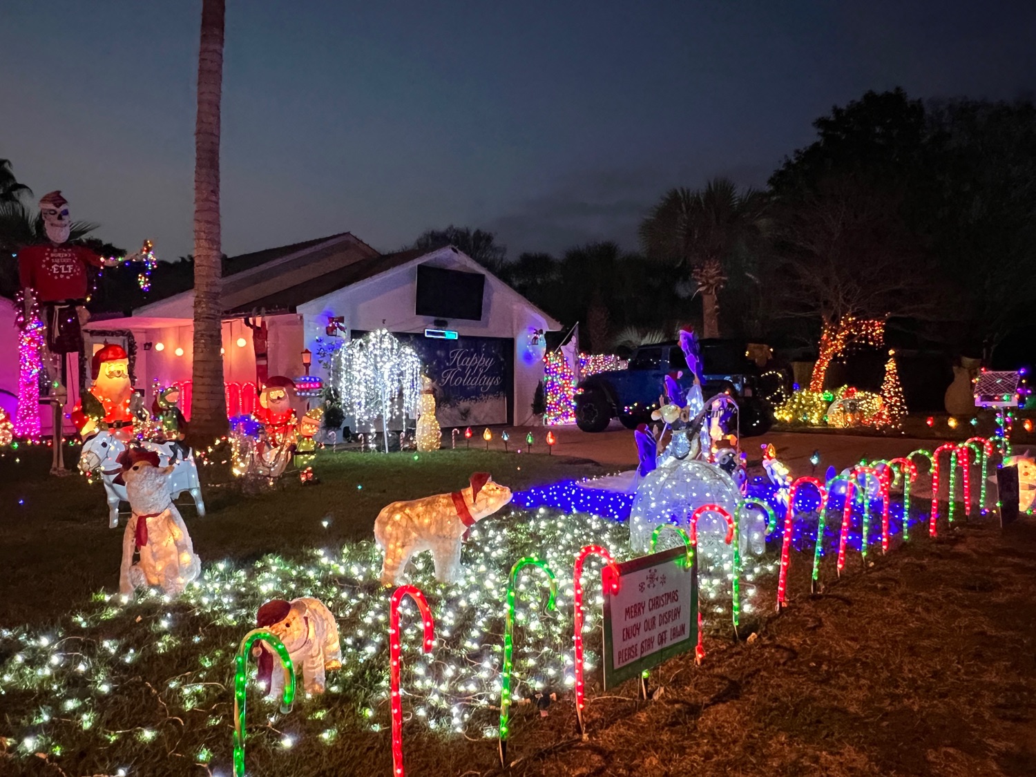 Lights on Cardinal, Christmas lights in Destin, FL (photo 3)