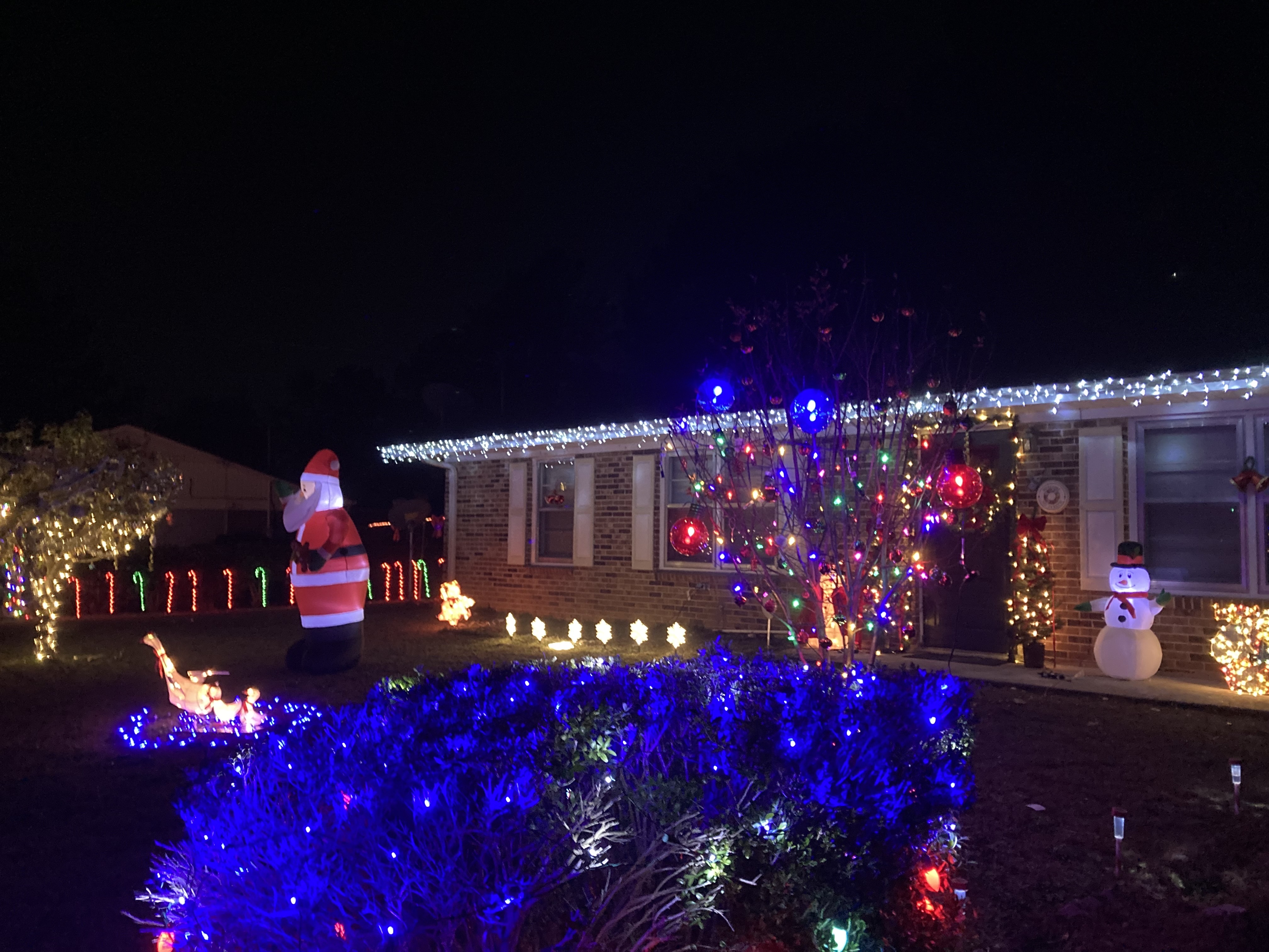 lights in Ivelyn Ct, Christmas lights in Warner Robins, GA (photo 2)
