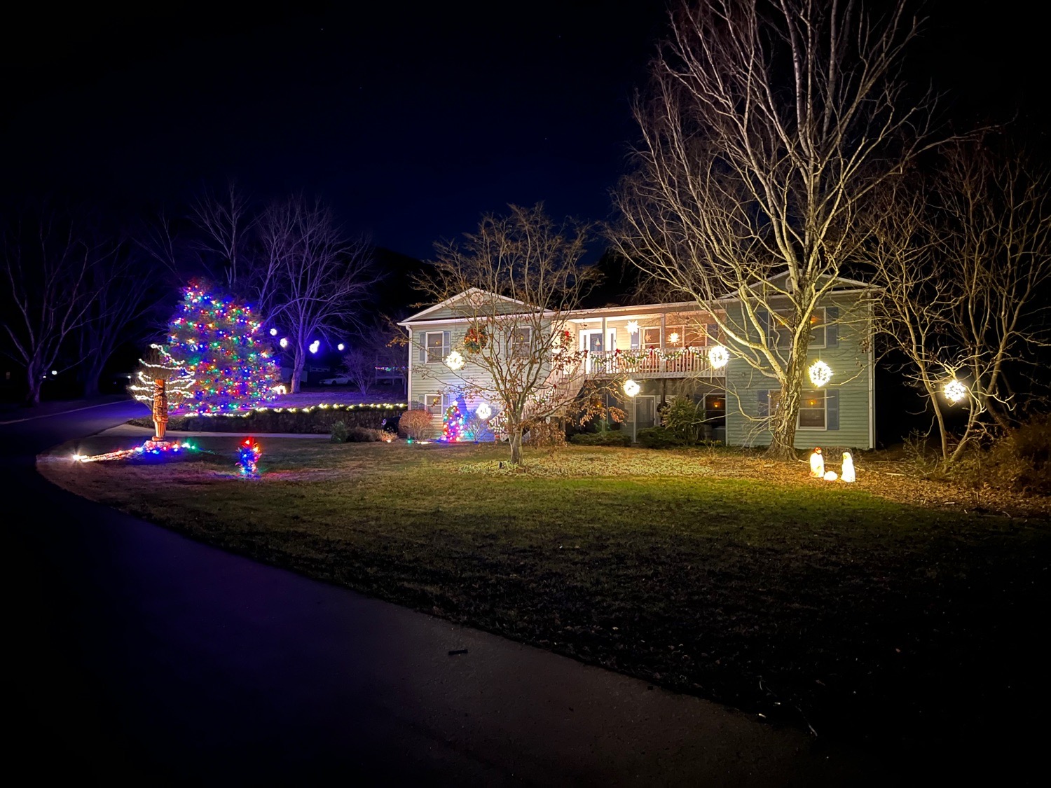 home lights, Christmas lights in Black Mountain, NC (photo 4)