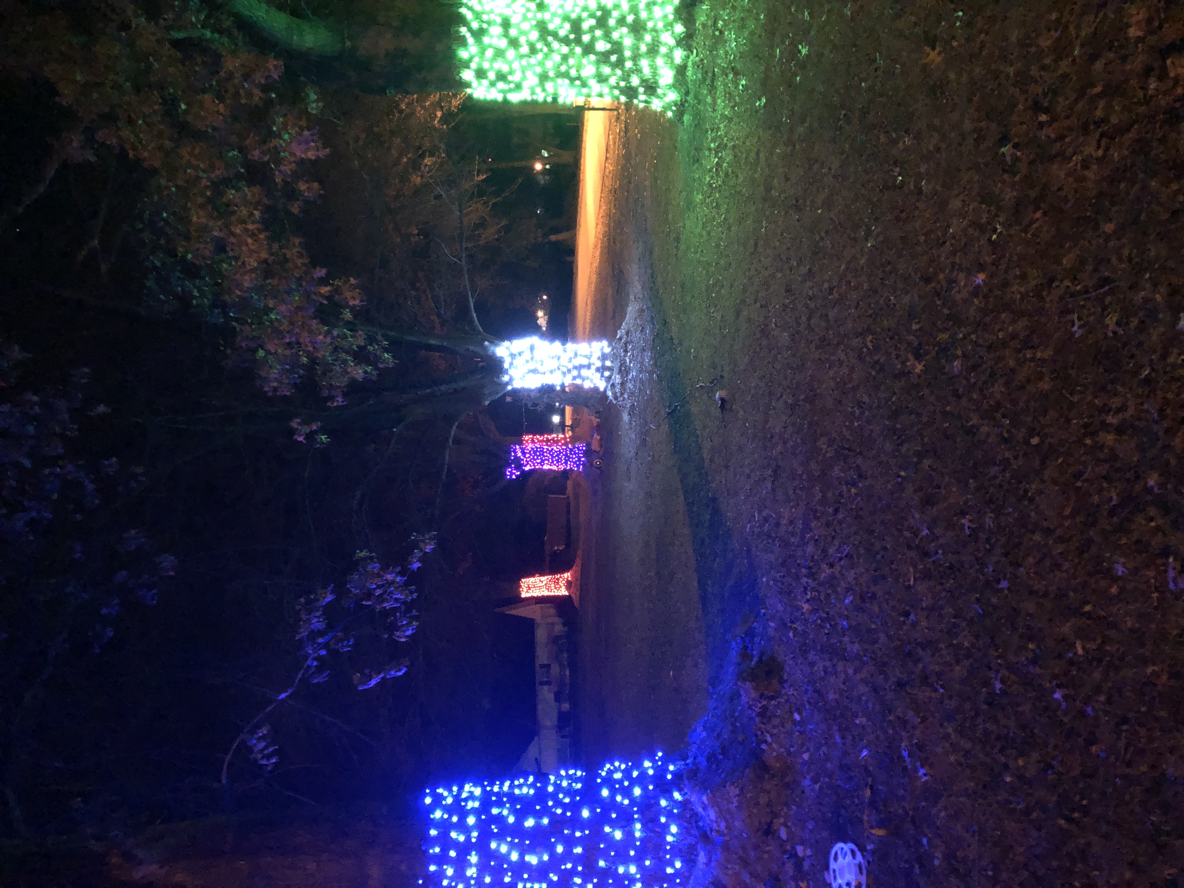jones house, Christmas lights in Blairsville, PA (photo 1)