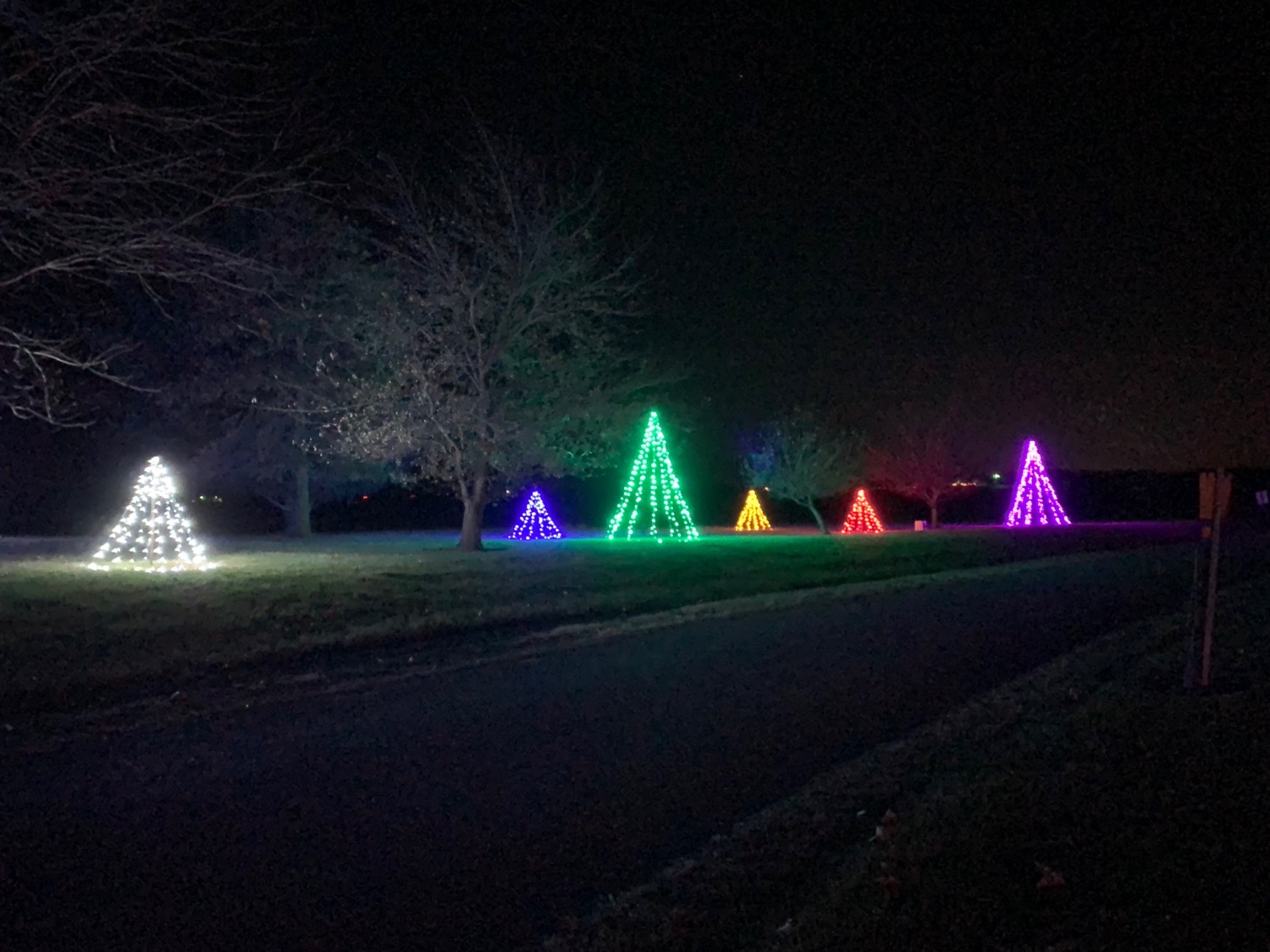 Davidson Lane, Christmas lights in Carrollton, IL (photo 5)