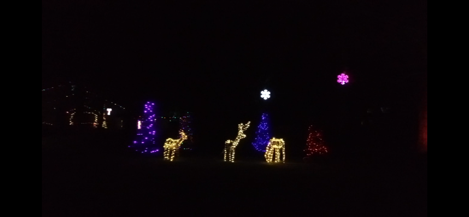 Candy Cane Lane, Christmas lights in Warrington, PA (photo 3)