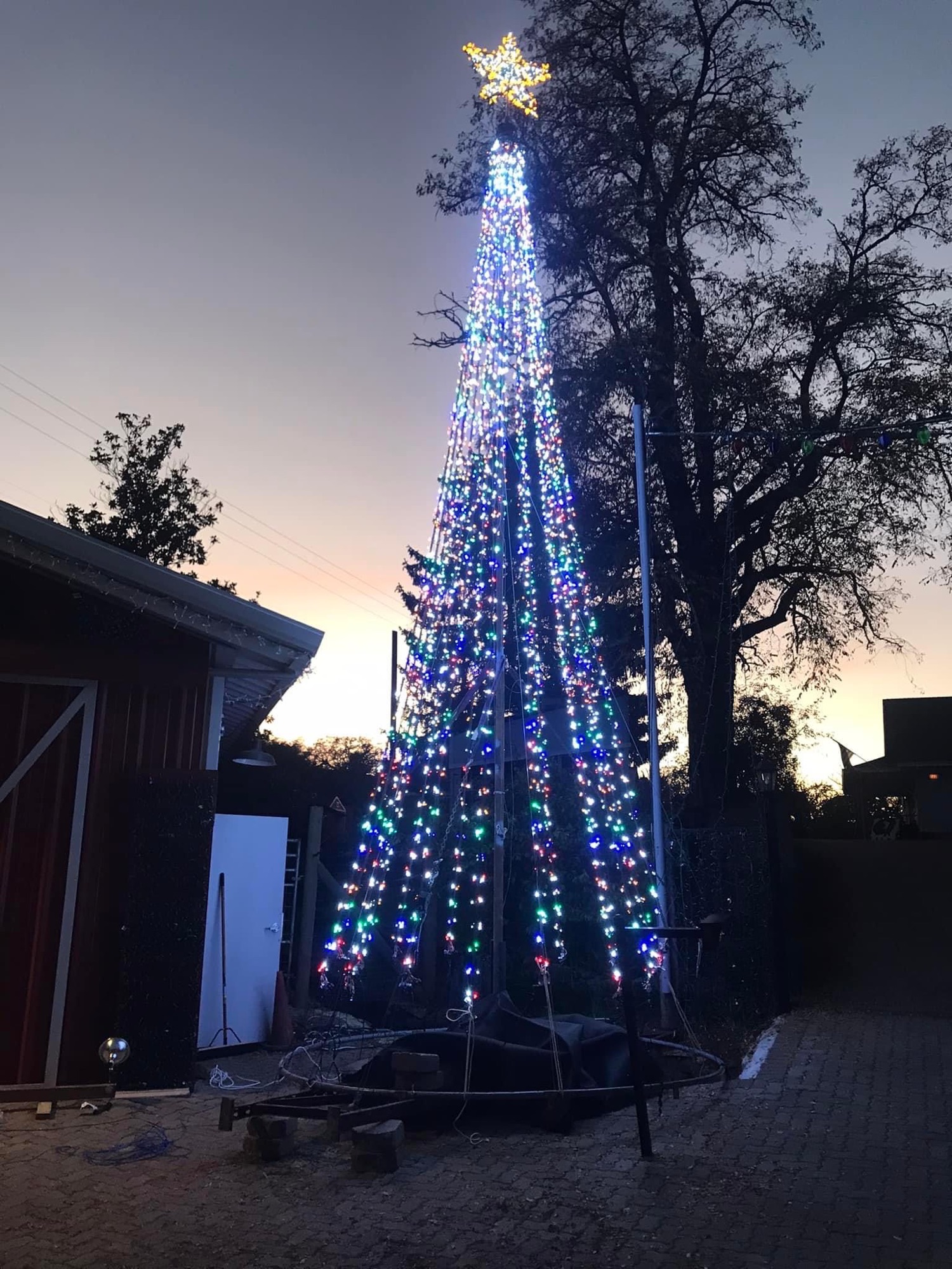 Lights on Riebli, Christmas lights in Santa Rosa, CA (photo 3)