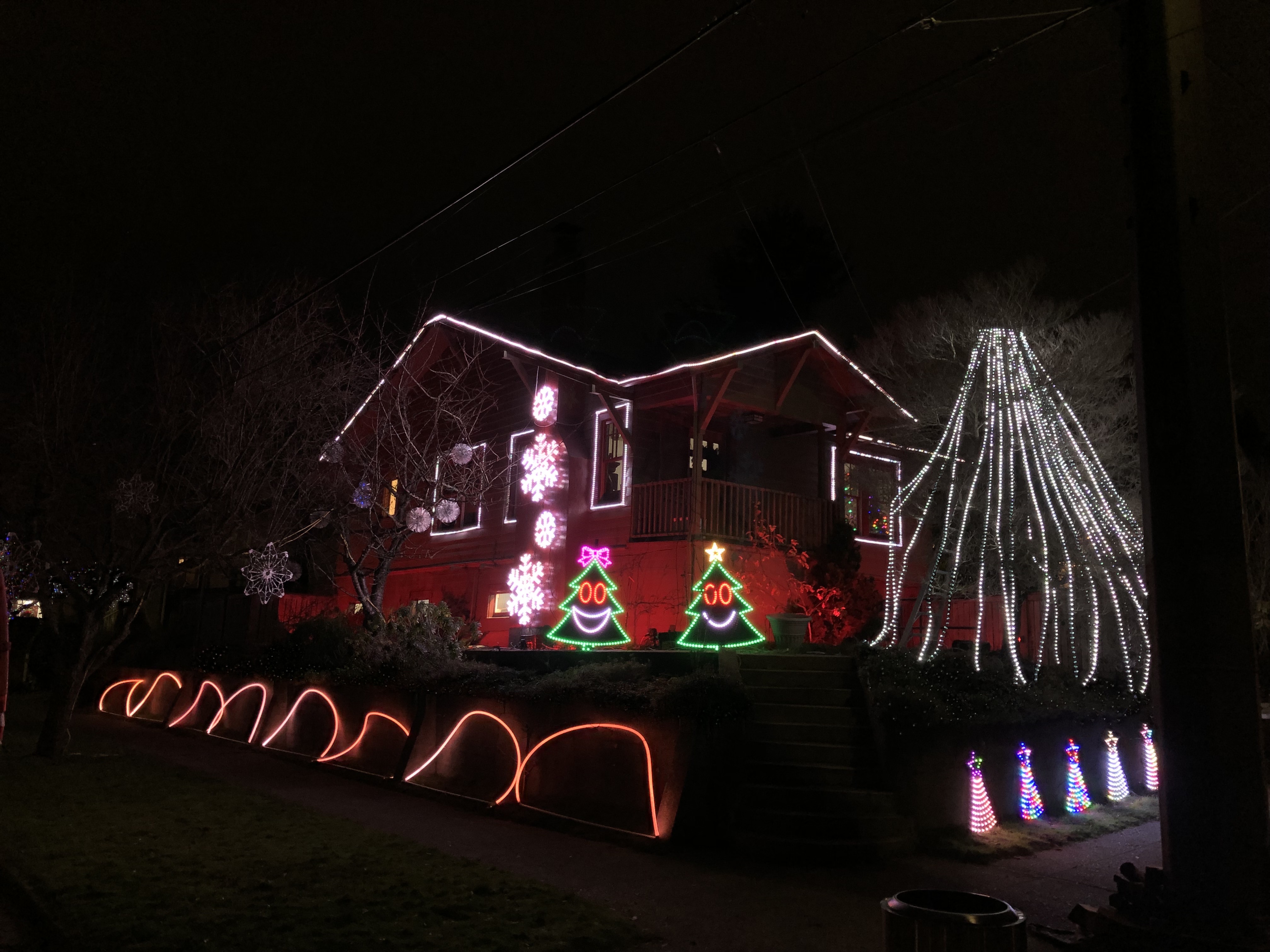 Lights Actually, Christmas lights in Seattle, WA (photo 1)