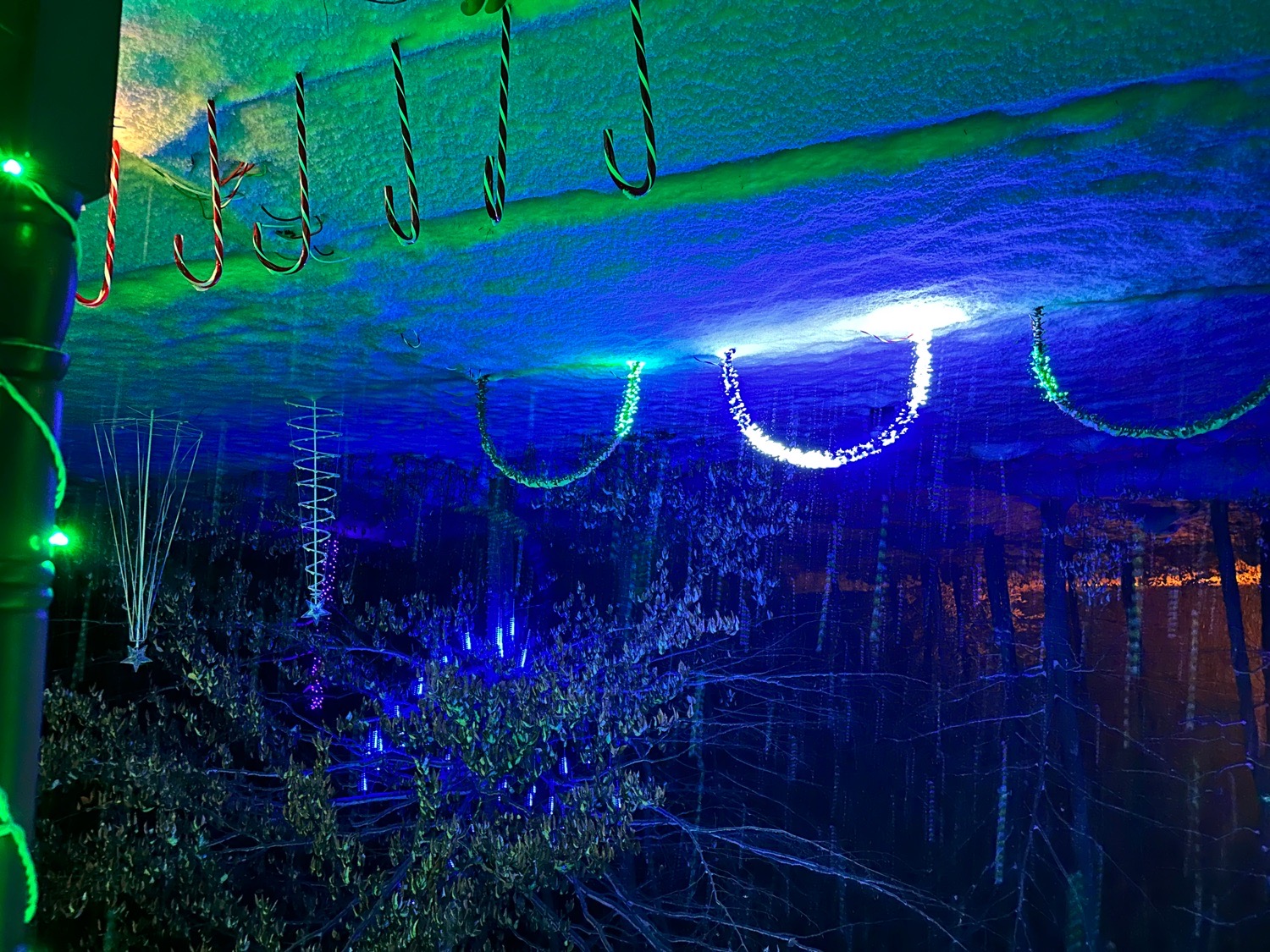 Scenic Bar & Grill (not a real bar, just my own), Christmas lights in Blakeslee, PA (photo 4)
