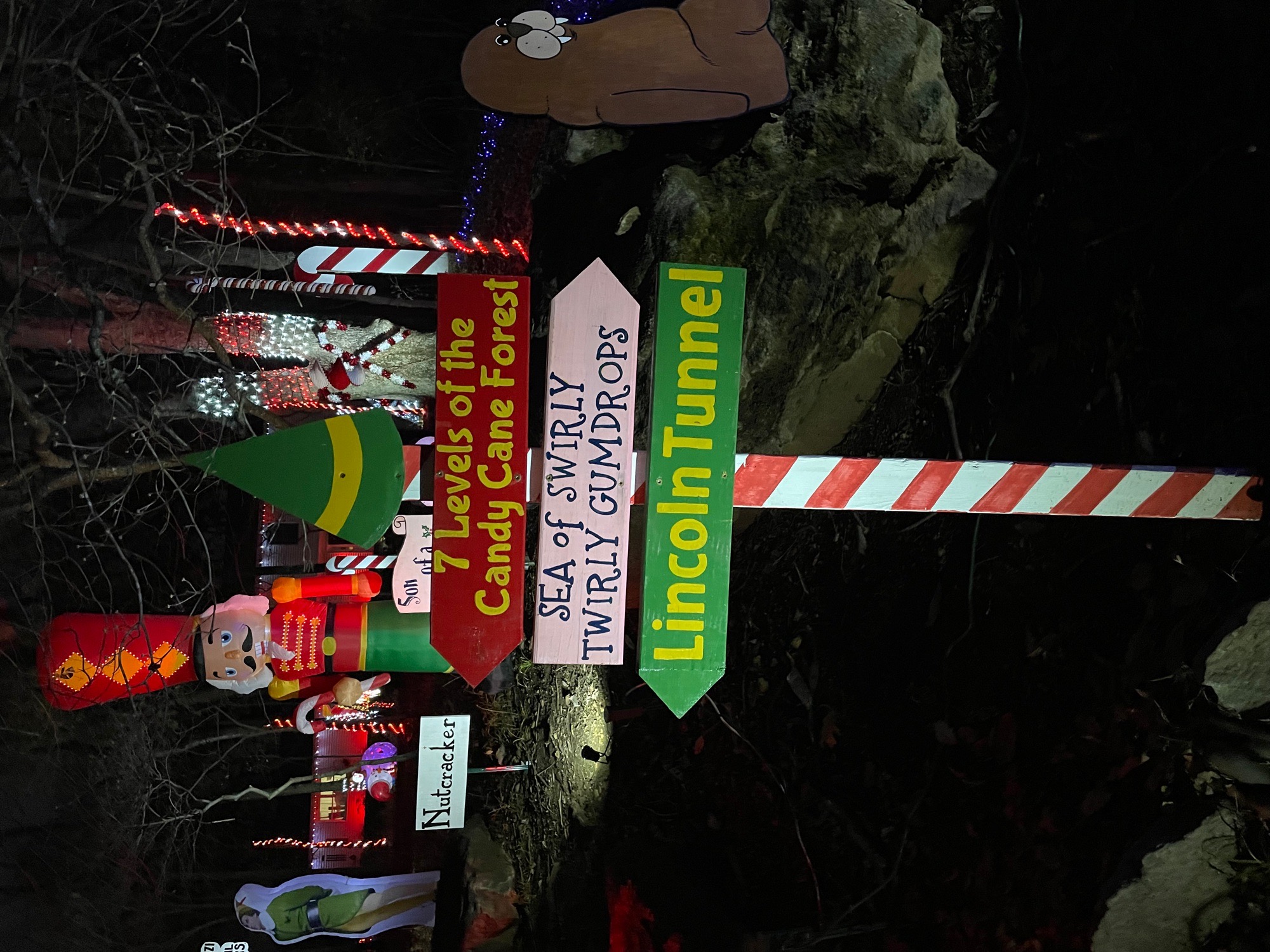 Elf House, Christmas lights in Des Peres, MO (photo 2)