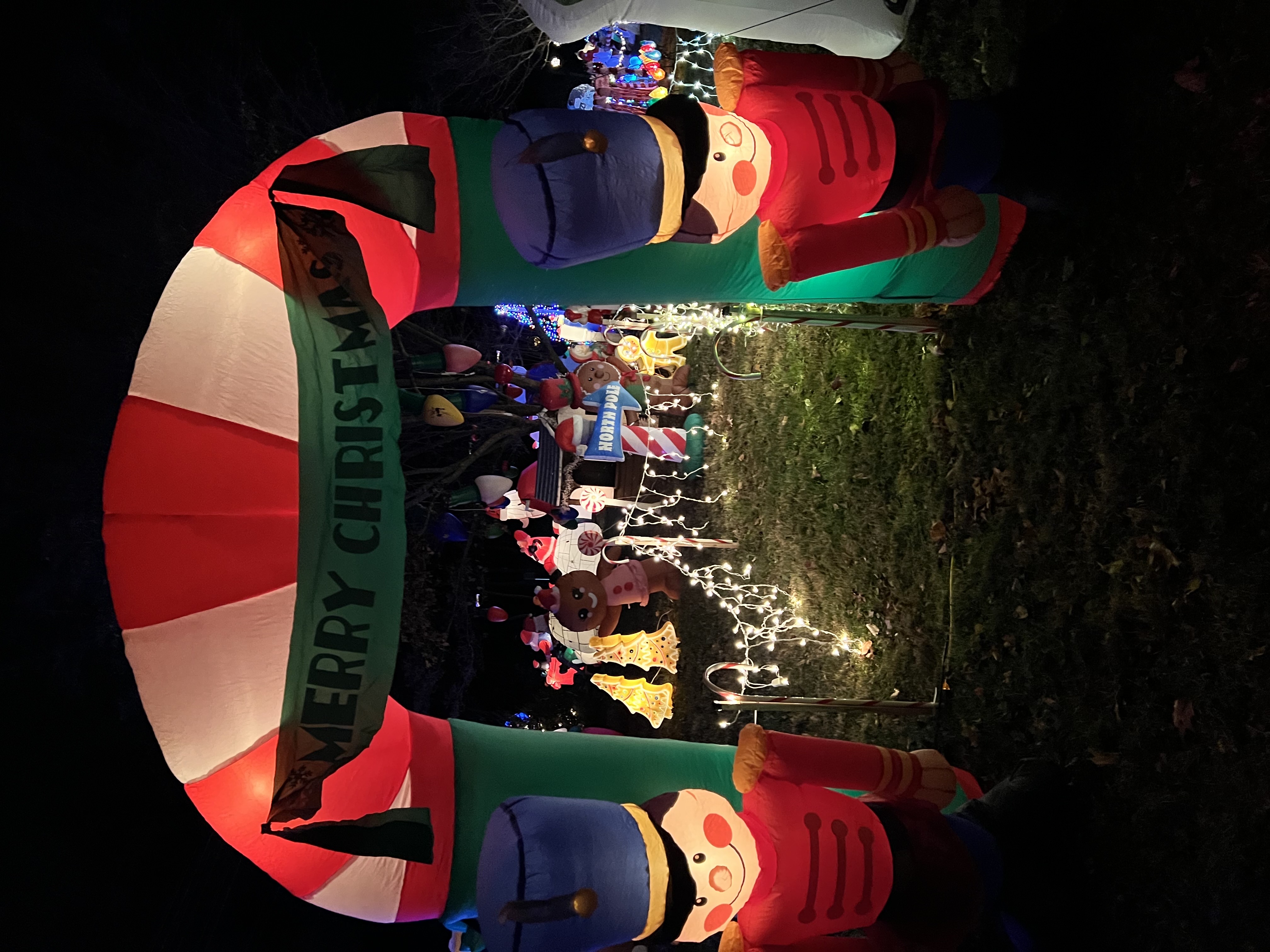 Misfit Meadows Holiday Display, Christmas lights in New Hope, PA (photo 5)