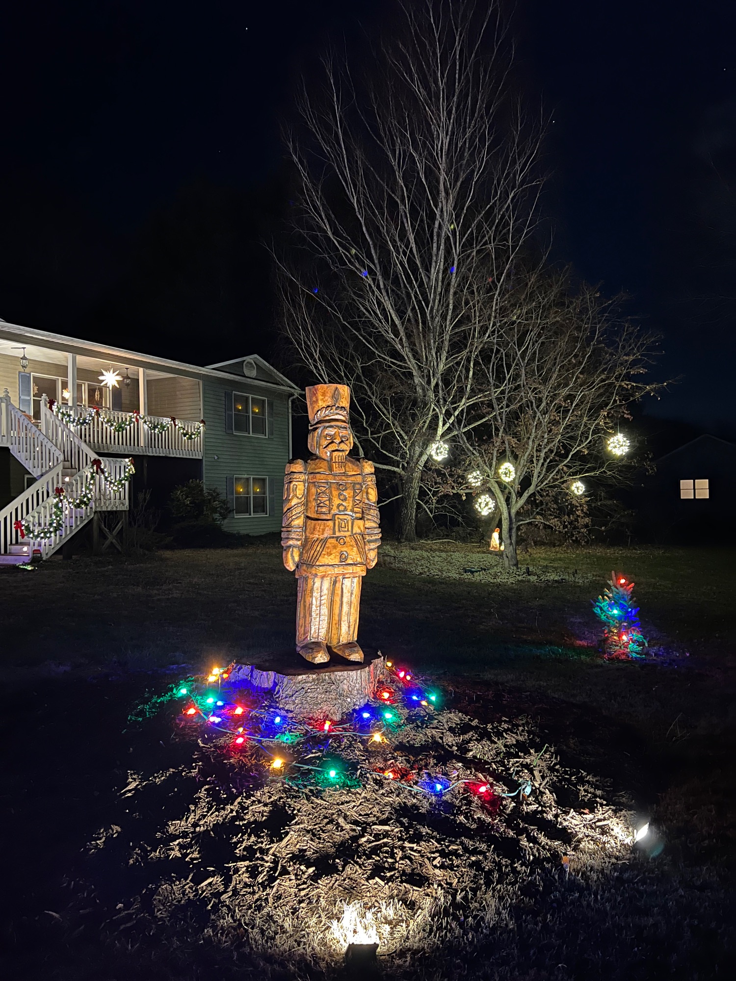 home lights, Christmas lights in Black Mountain, NC (photo 1)