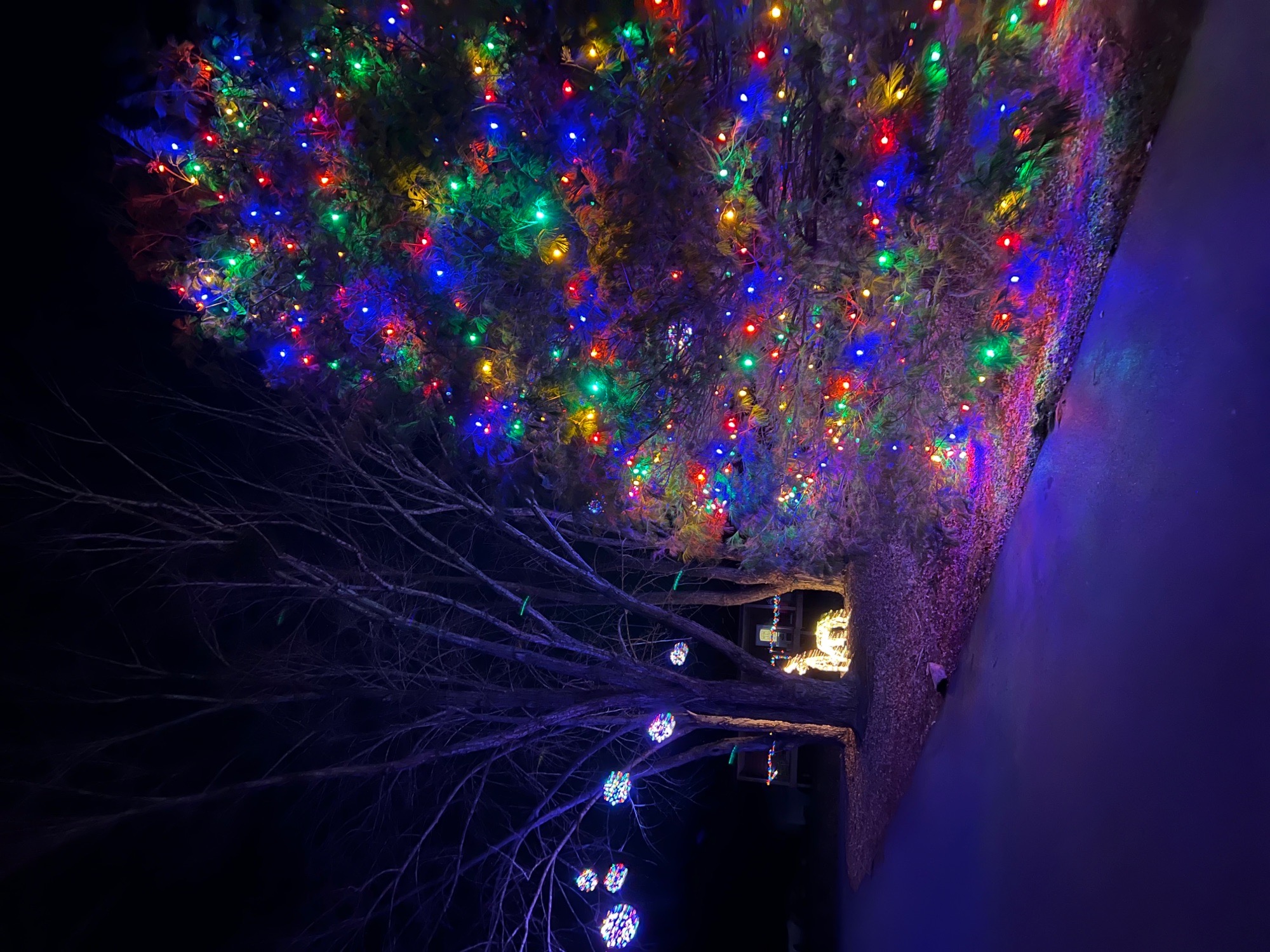 home lights, Christmas lights in Black Mountain, NC (photo 3)