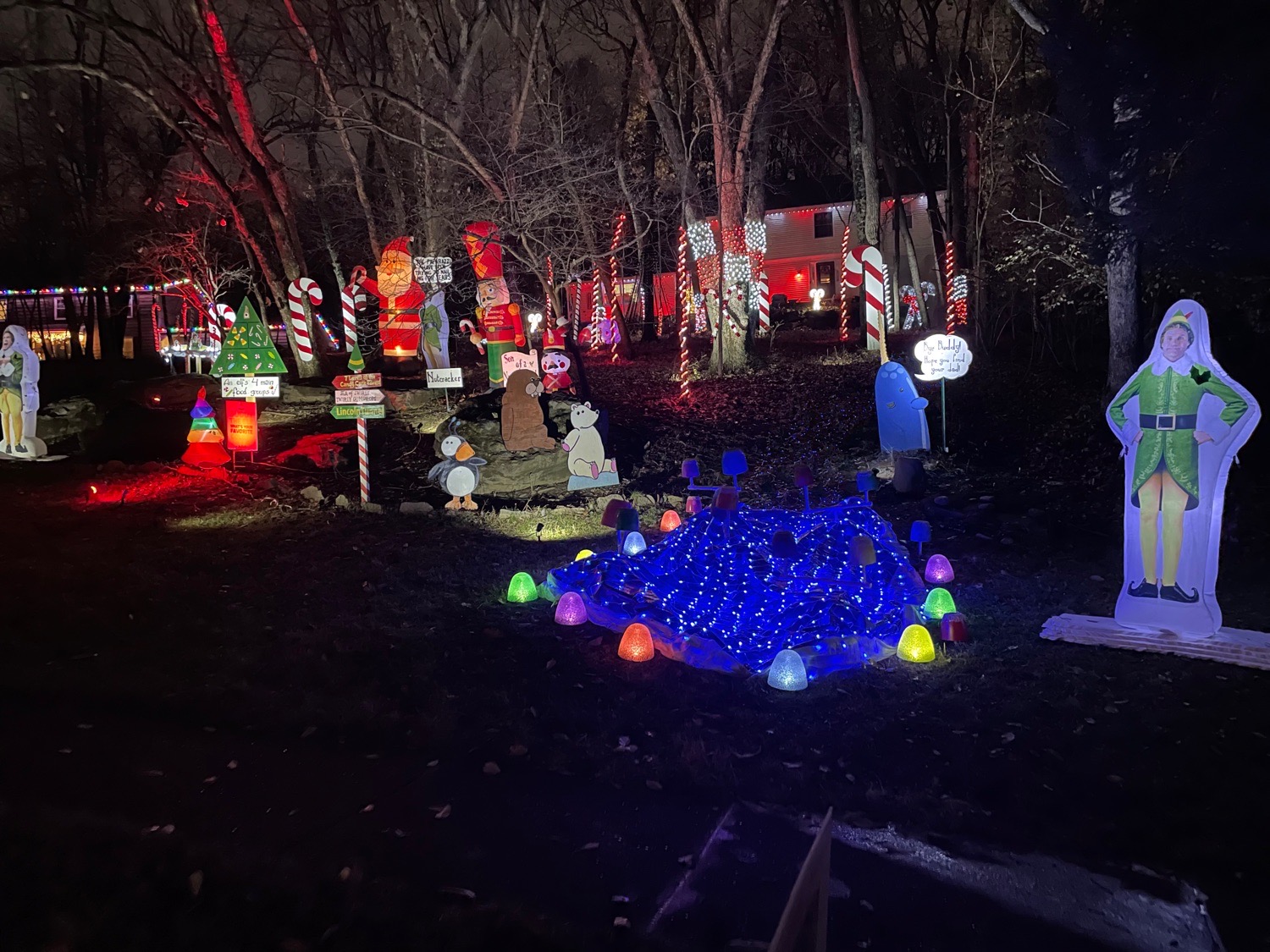 Elf House, Christmas lights in Des Peres, MO (photo 5)