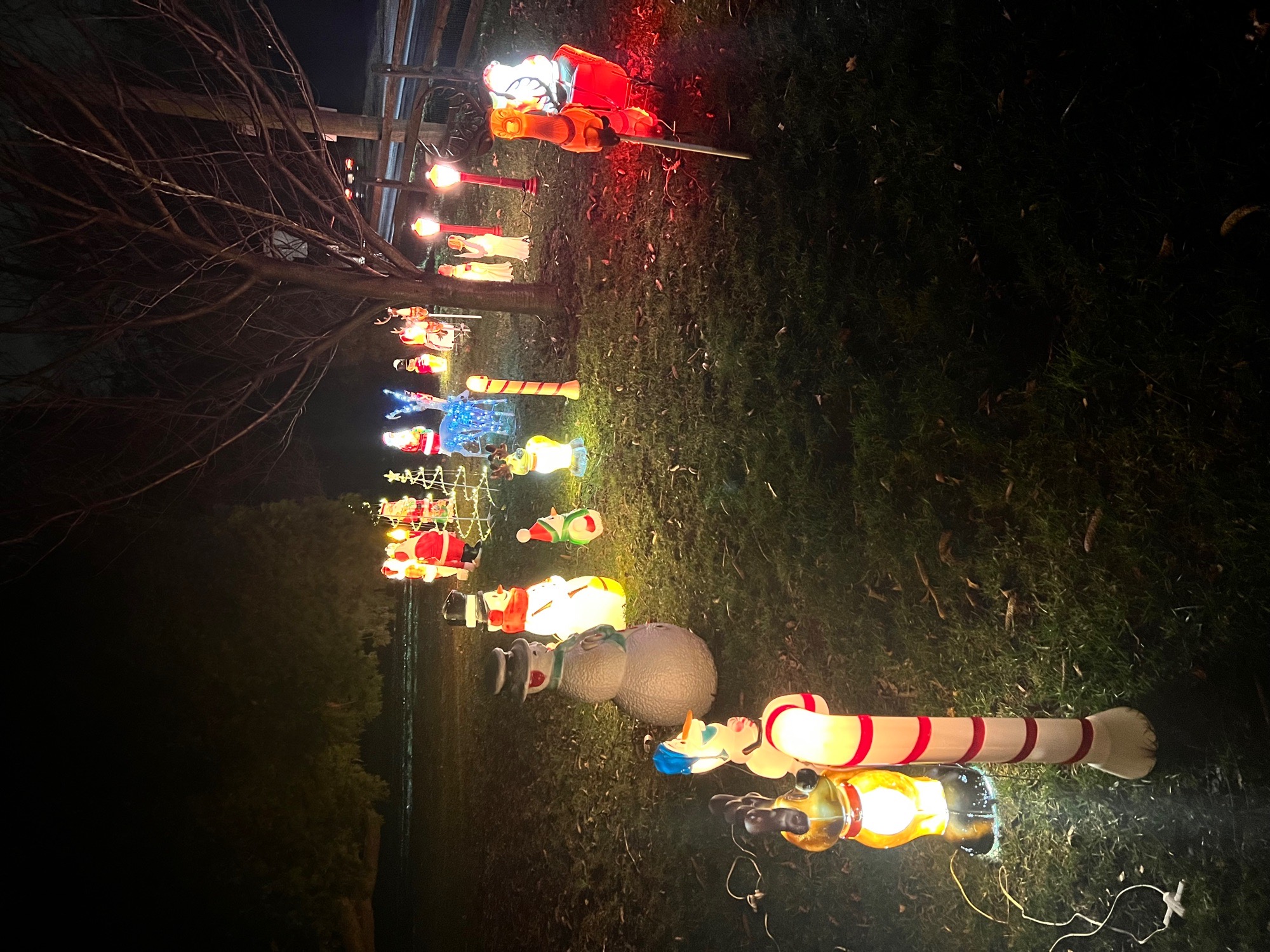 Vintage blowmolds, Christmas lights in Garnet Valley, PA (photo 3)