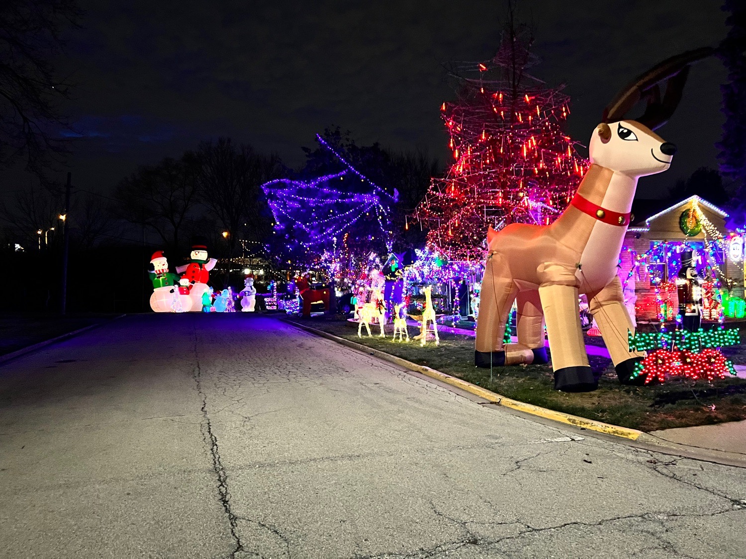 Ochoa Christmas wonderland, Christmas lights in Berkeley, IL (photo 2)