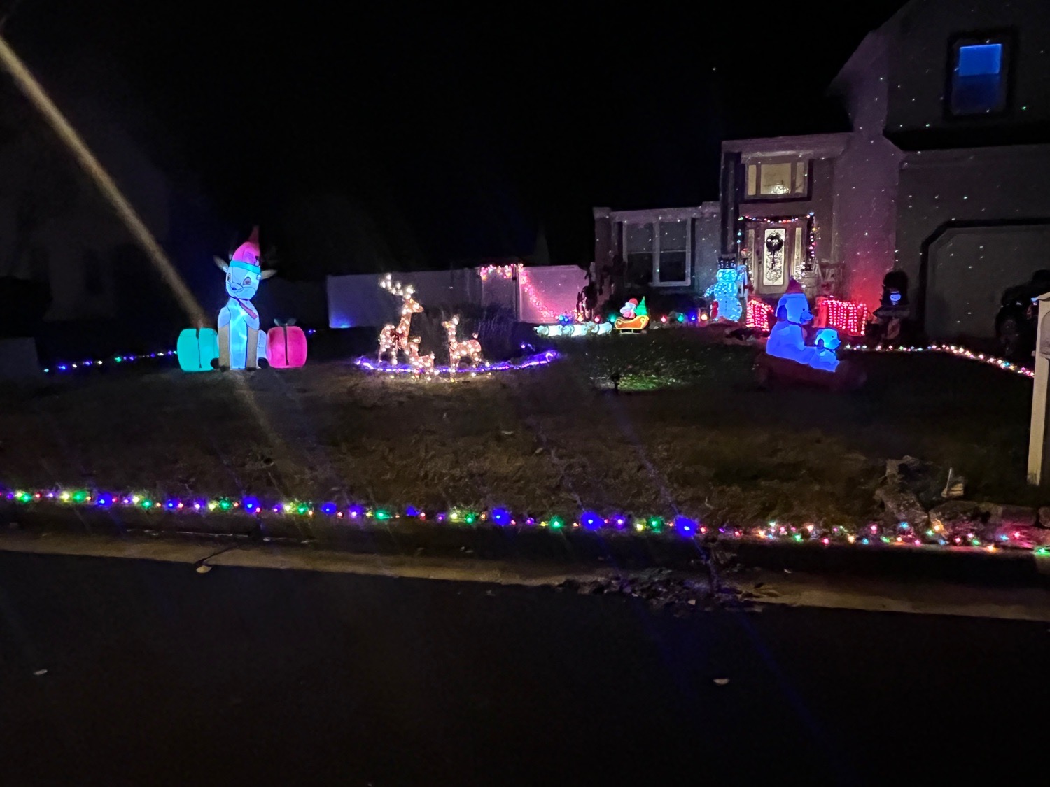 Joy to Eyre Hall, Christmas lights in Virginia Beach, VA (photo 5)