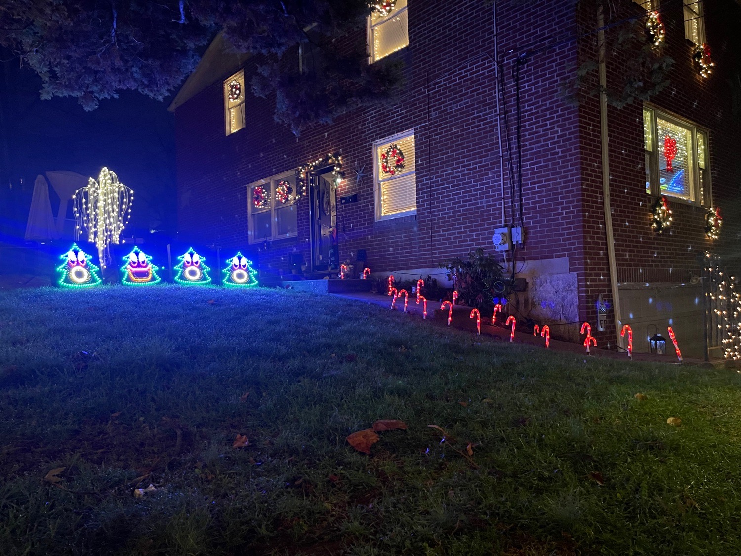 TREE WORLD, Christmas lights in Broomall, PA (photo 4)
