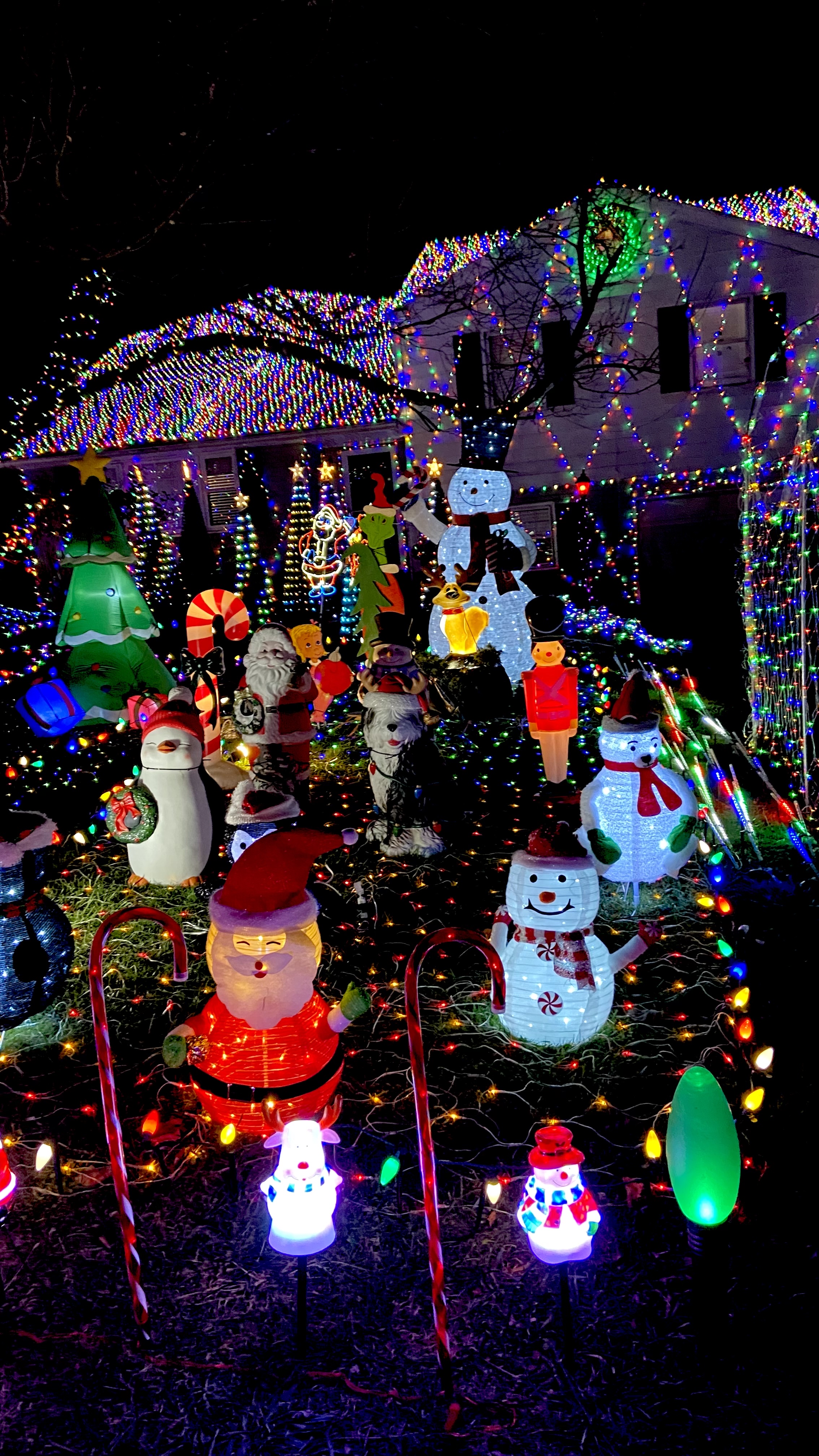 Berwyn’s Brightest, Christmas lights in Berwyn, PA (photo 3)